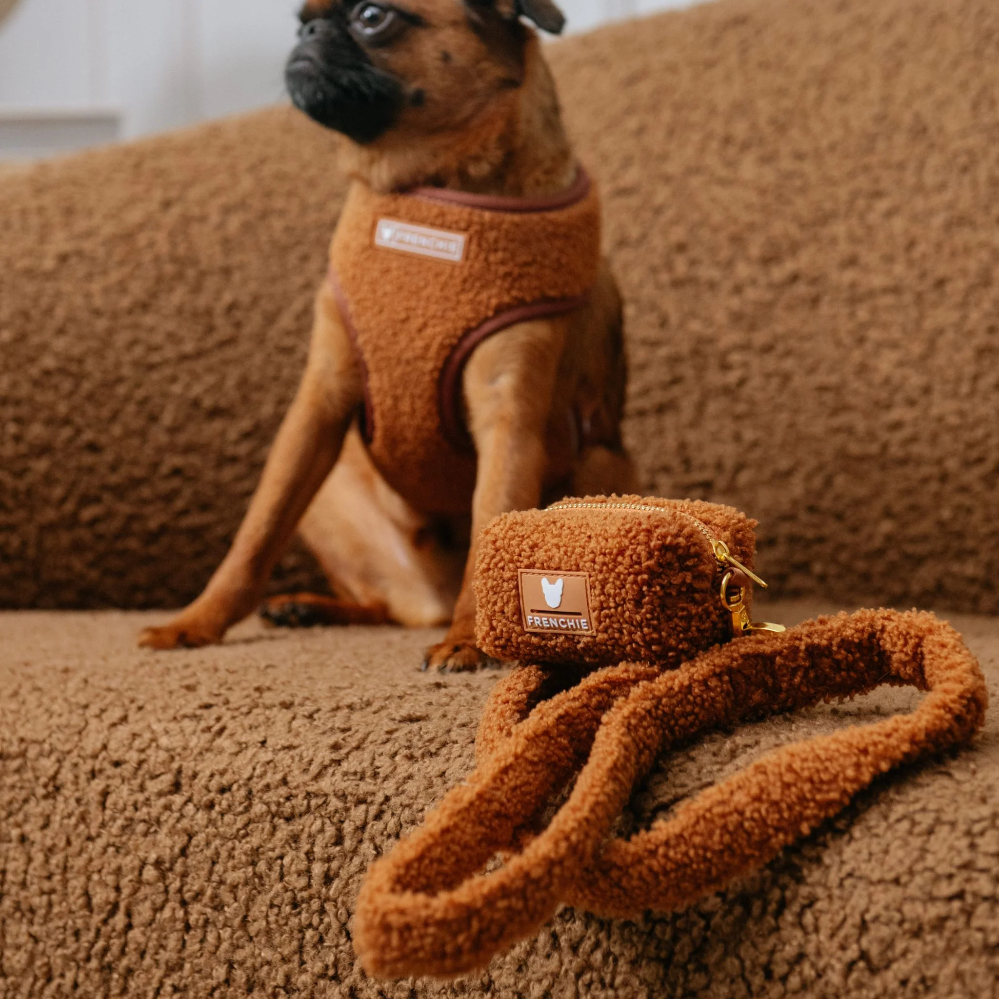 Frenchie Comfort Leash - Teddy Brown - Image 2