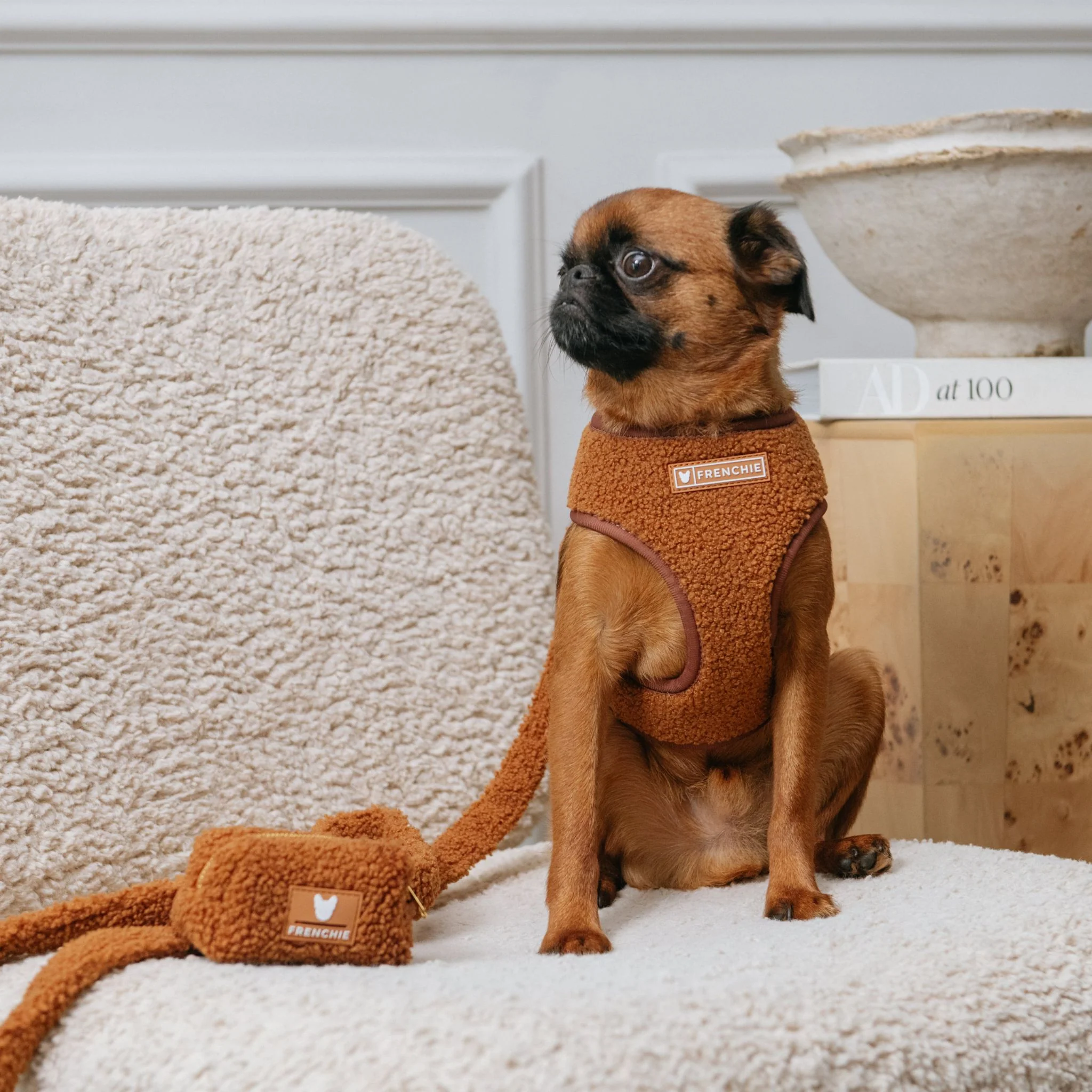 Frenchie Comfort Leash - Teddy Brown - Image 4