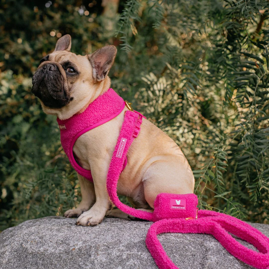 Frenchie Comfort Leash - Teddy Hot Pink - Image 2