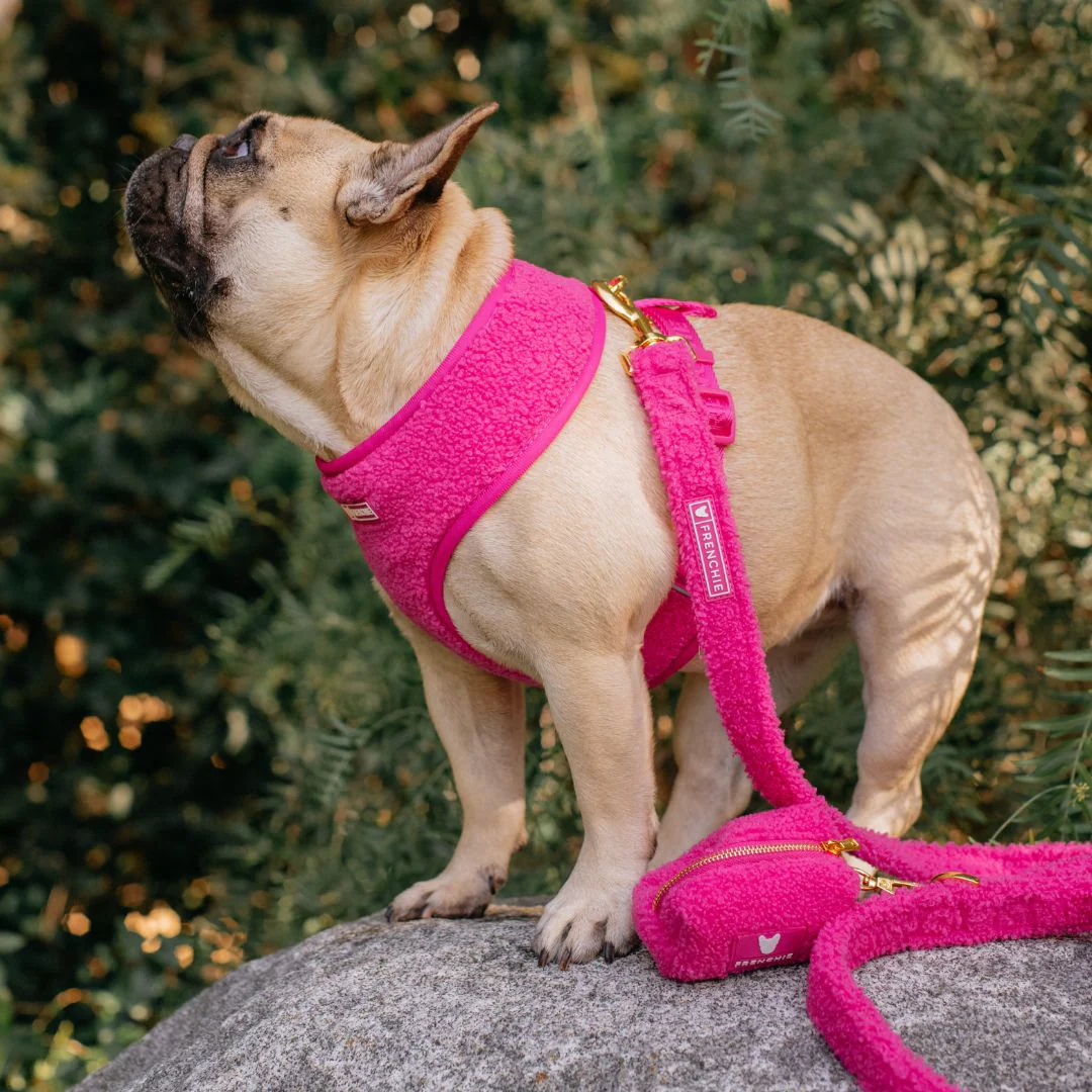 Frenchie Comfort Leash - Teddy Hot Pink - Image 3
