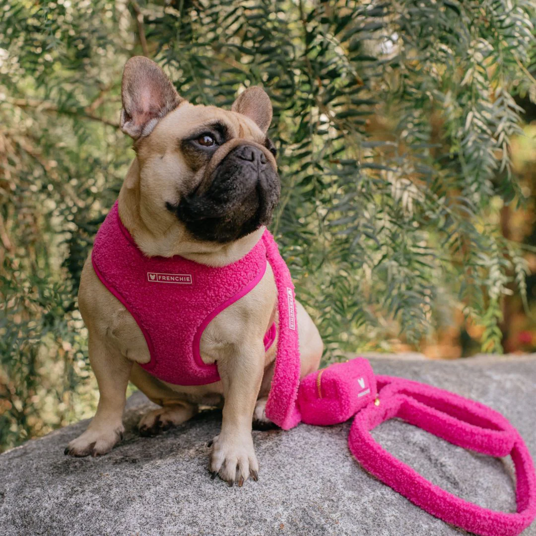 Frenchie Comfort Leash - Teddy Hot Pink - Image 5