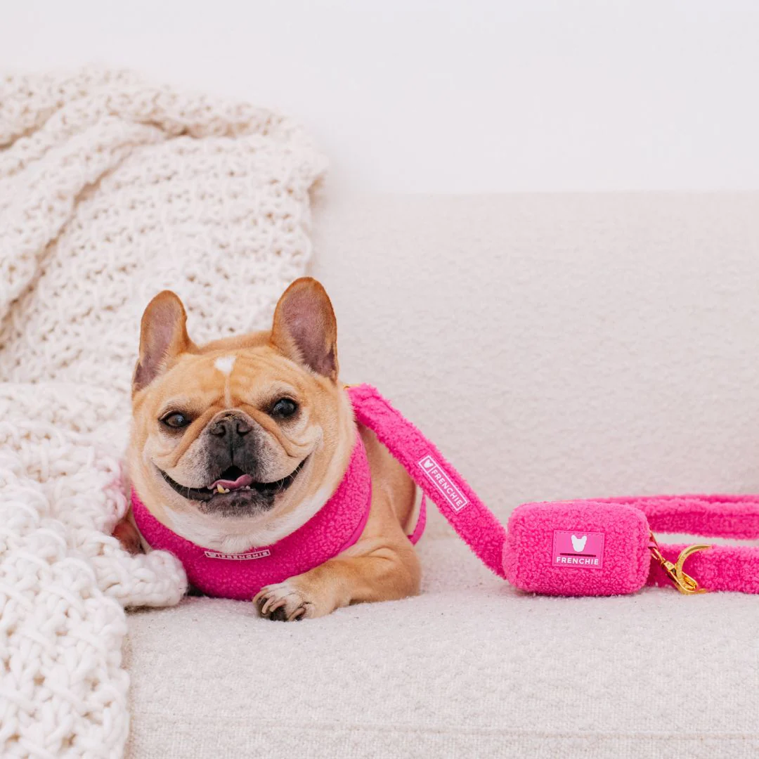 Frenchie Comfort Leash - Teddy Hot Pink - Image 6
