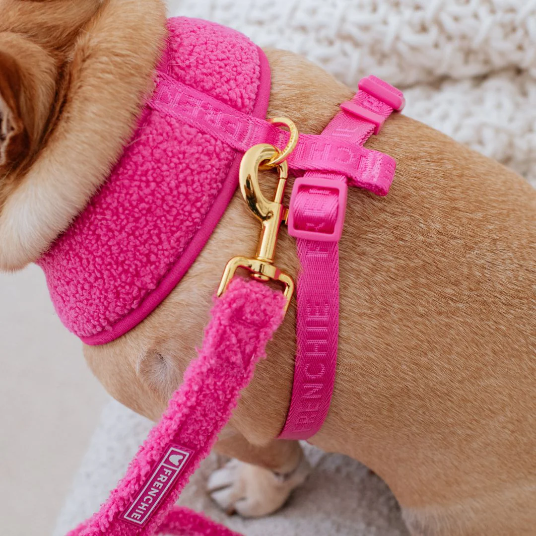 Frenchie Comfort Leash - Teddy Hot Pink - Image 8