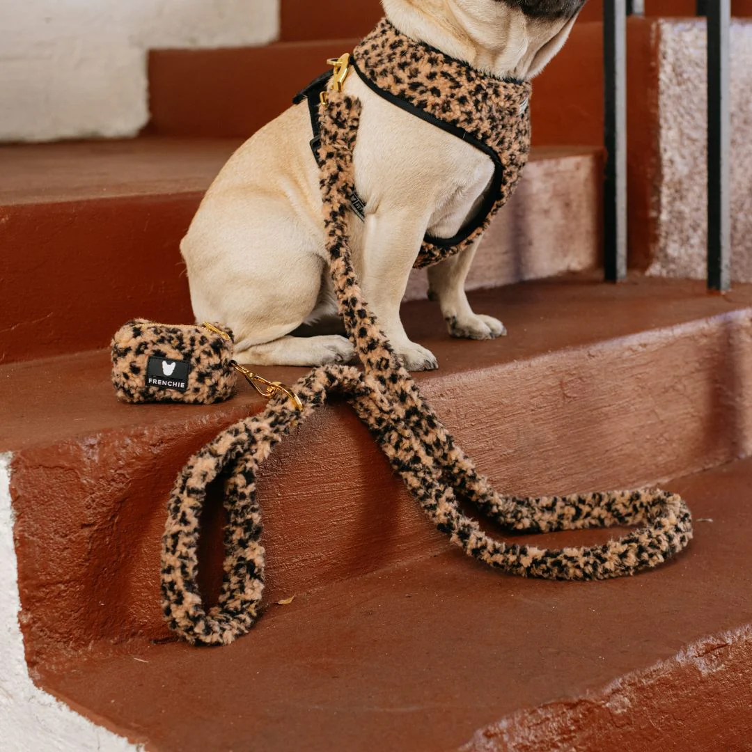 Frenchie Comfort Leash - Teddy Leopard - Image 2