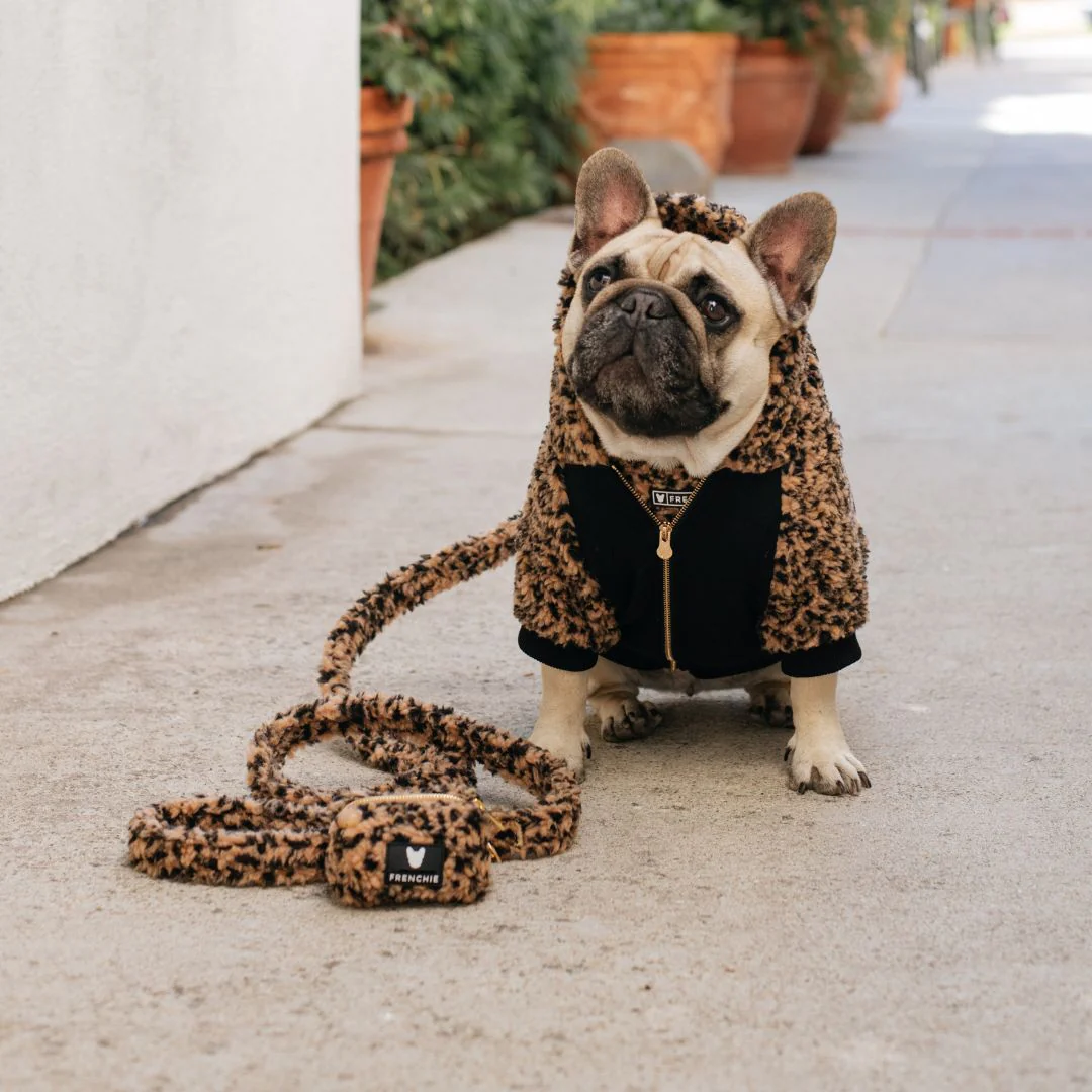 Frenchie Comfort Leash - Teddy Leopard - Image 7
