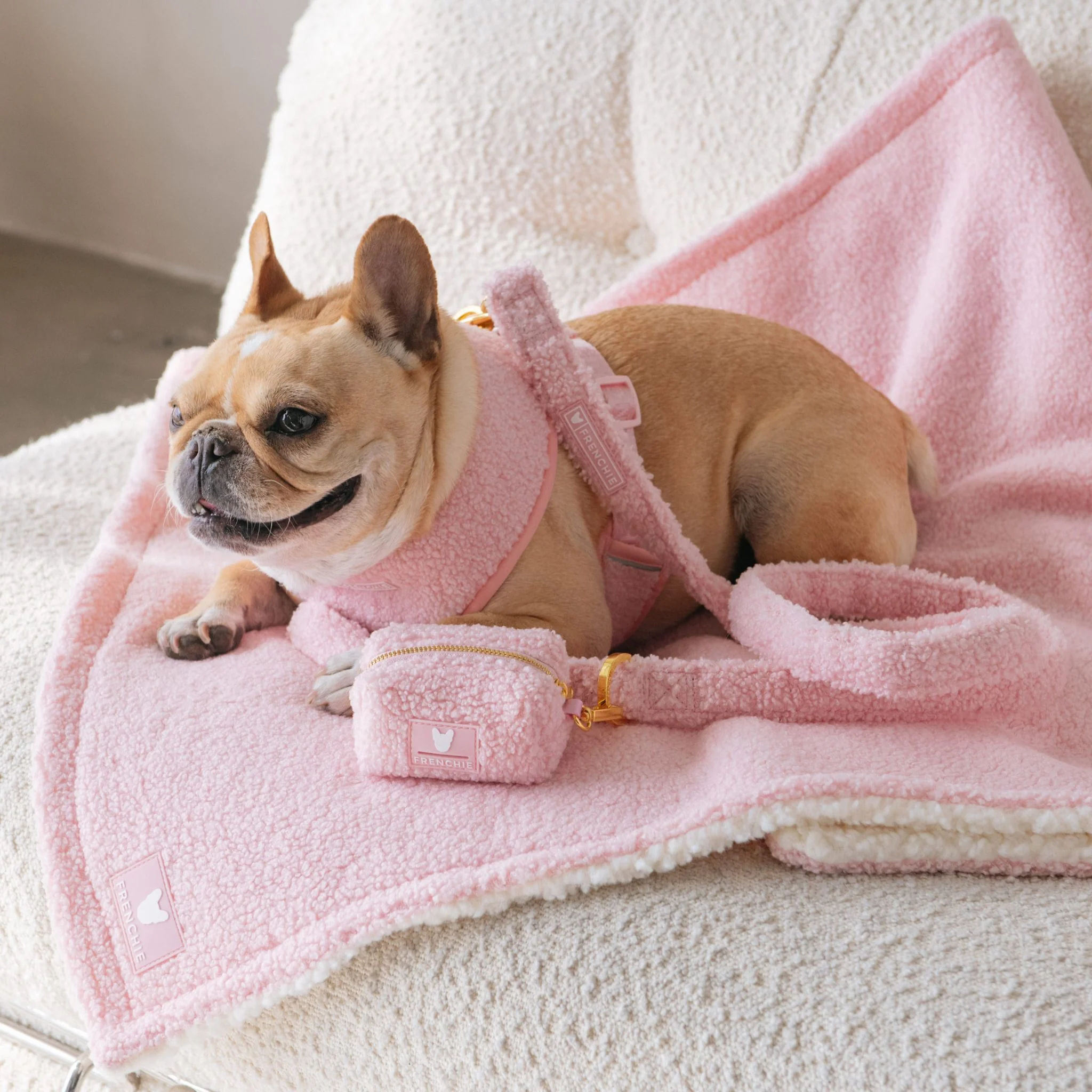 Frenchie Comfort Leash - Teddy Pink - Image 3