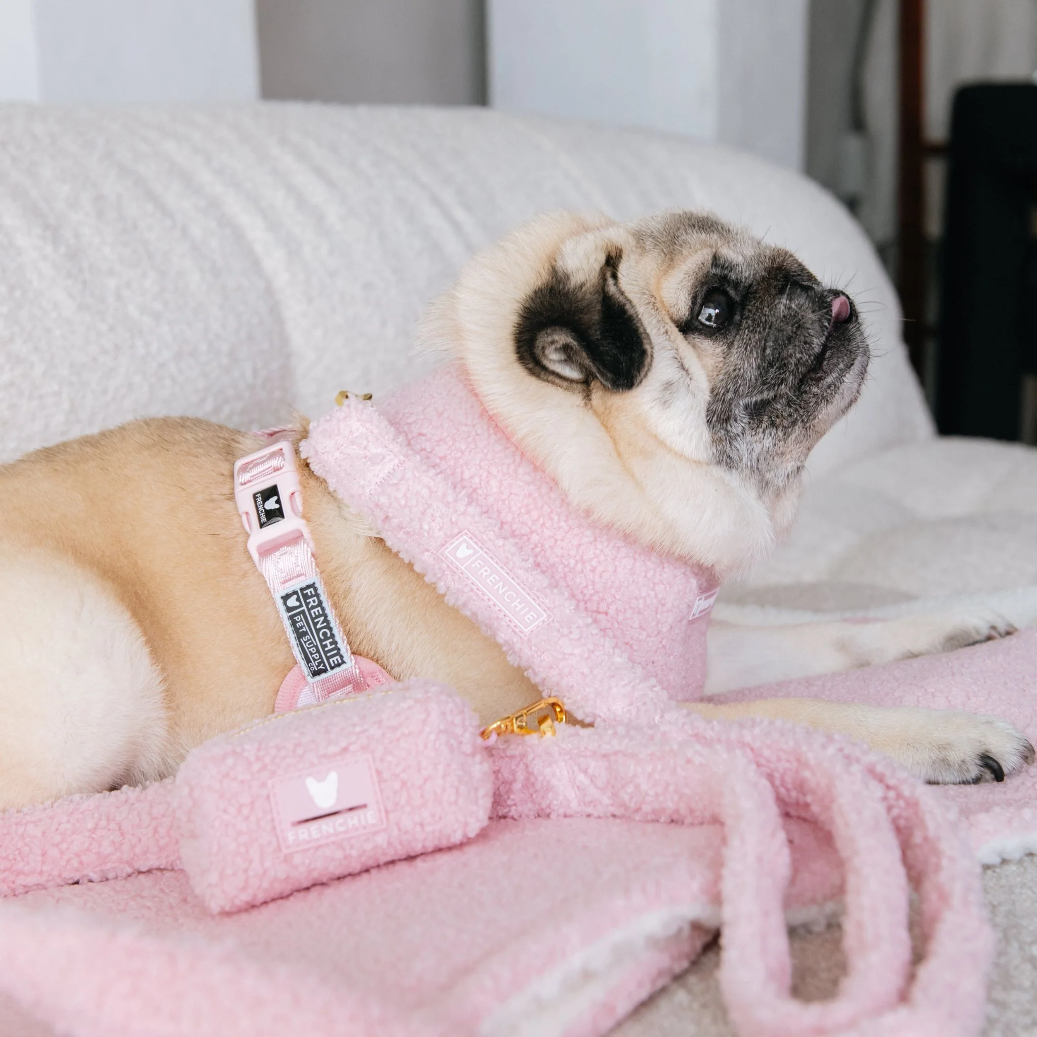 Frenchie Comfort Leash - Teddy Pink - Image 4