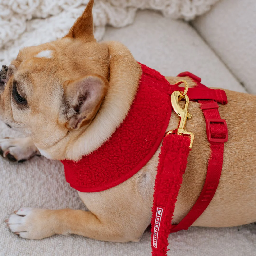 Frenchie Comfort Leash - Teddy Red - Image 3