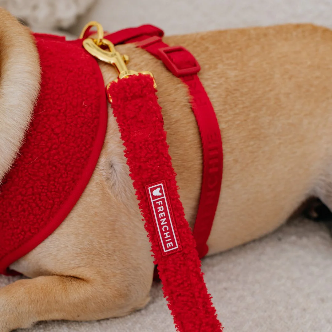 Frenchie Comfort Leash - Teddy Red - Image 5