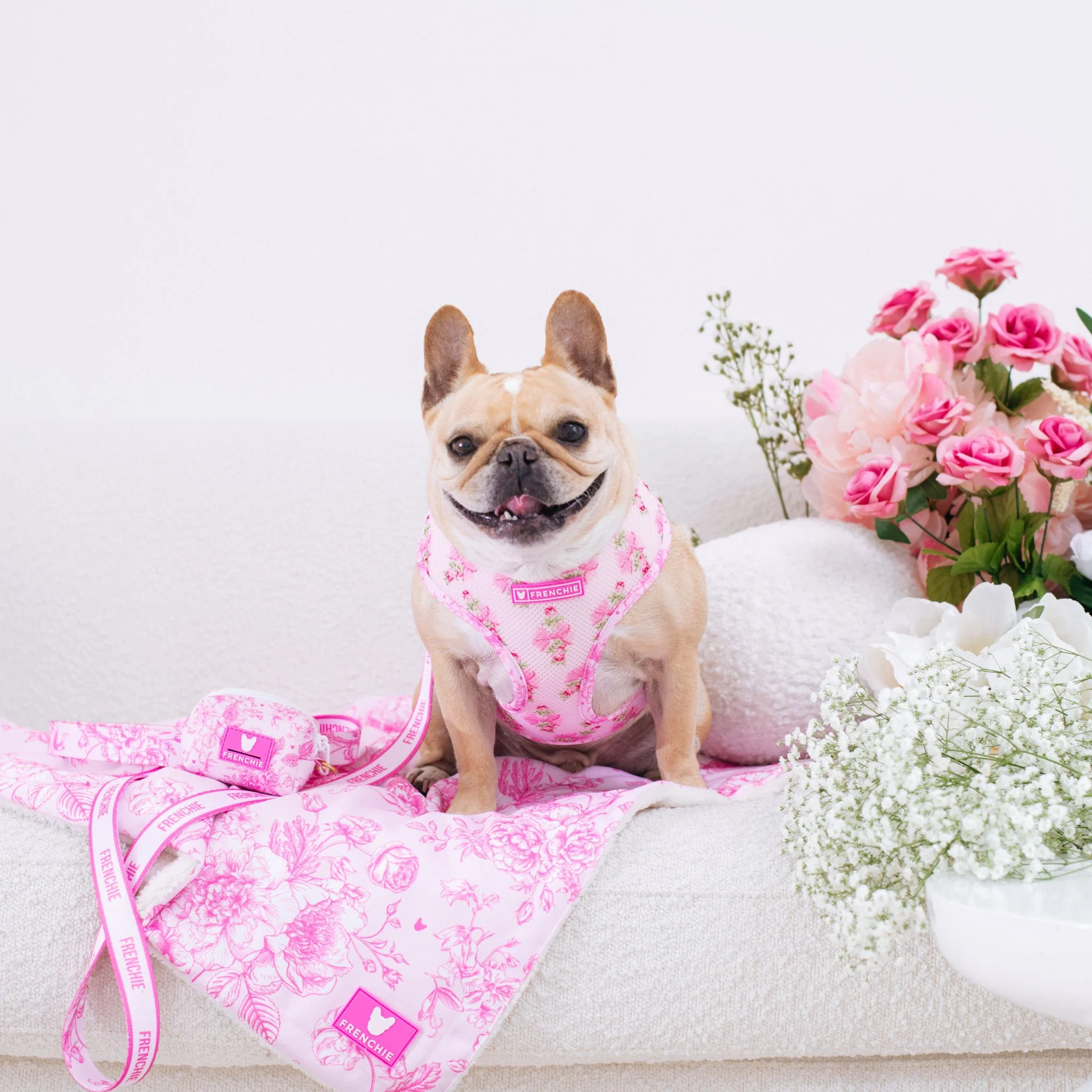 Frenchie Comfort Leash - Toile (Pink) - Image 4