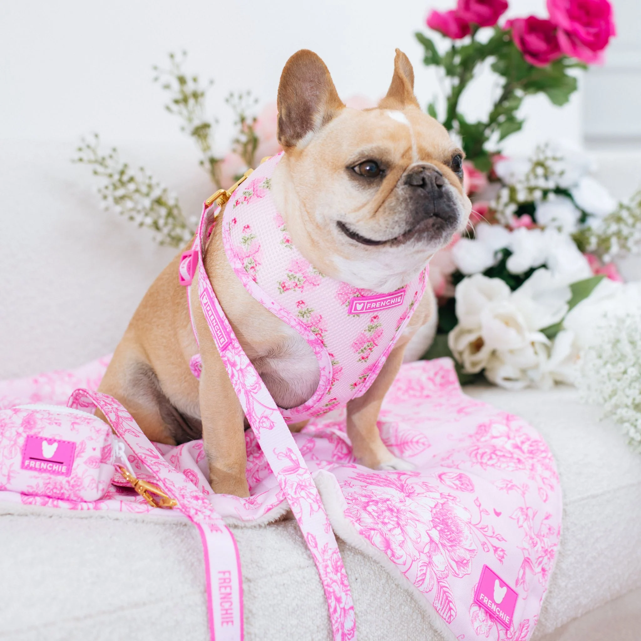 Frenchie Comfort Leash - Toile (Pink) - Image 5