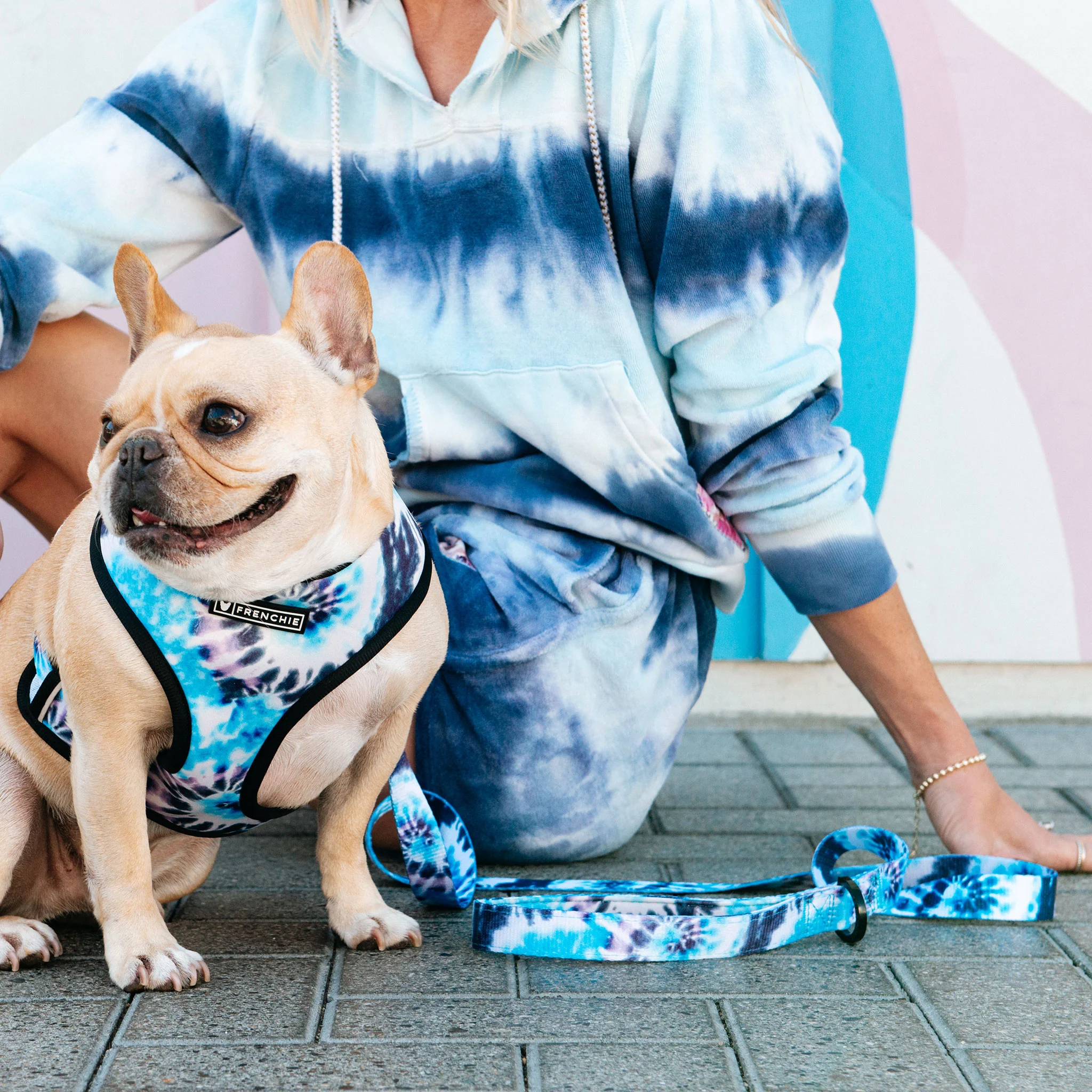 Frenchie Comfort Leash - Trippy Tie Dye - Image 4