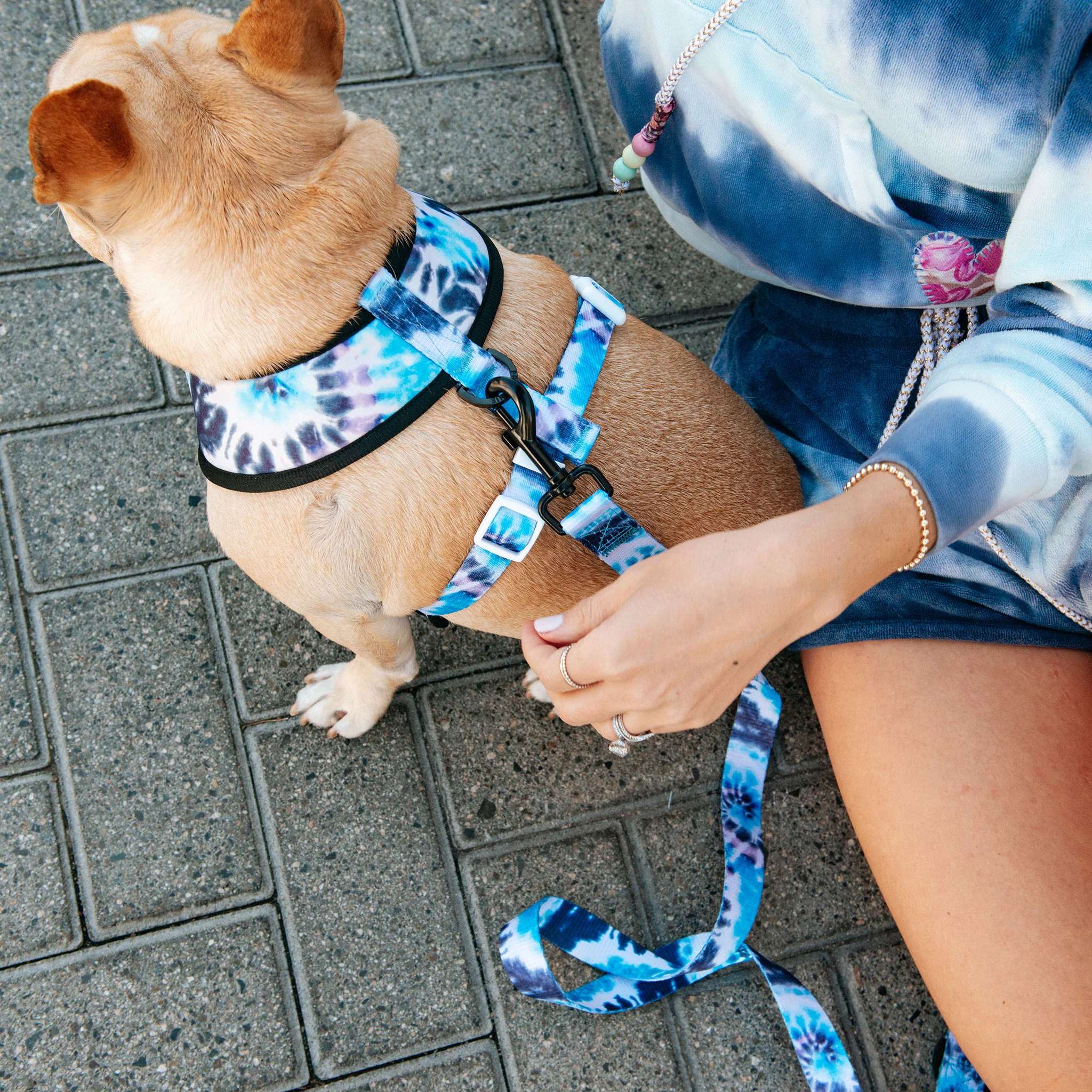 Frenchie Comfort Leash - Trippy Tie Dye - Image 5