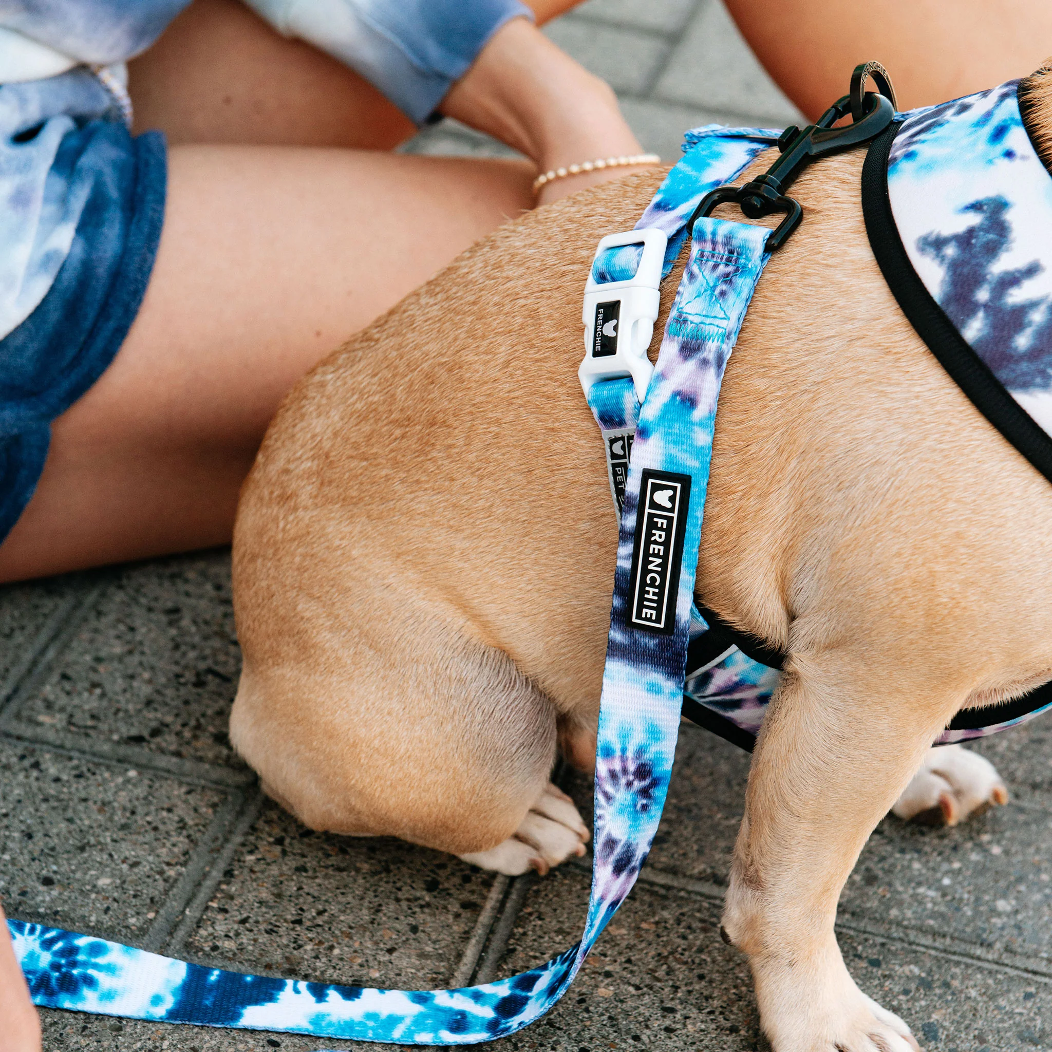 Frenchie Comfort Leash - Trippy Tie Dye - Image 6
