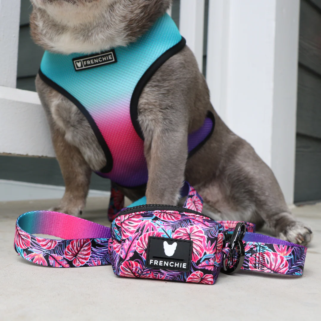 Frenchie Comfort Leash - Tropical Palms - Image 3