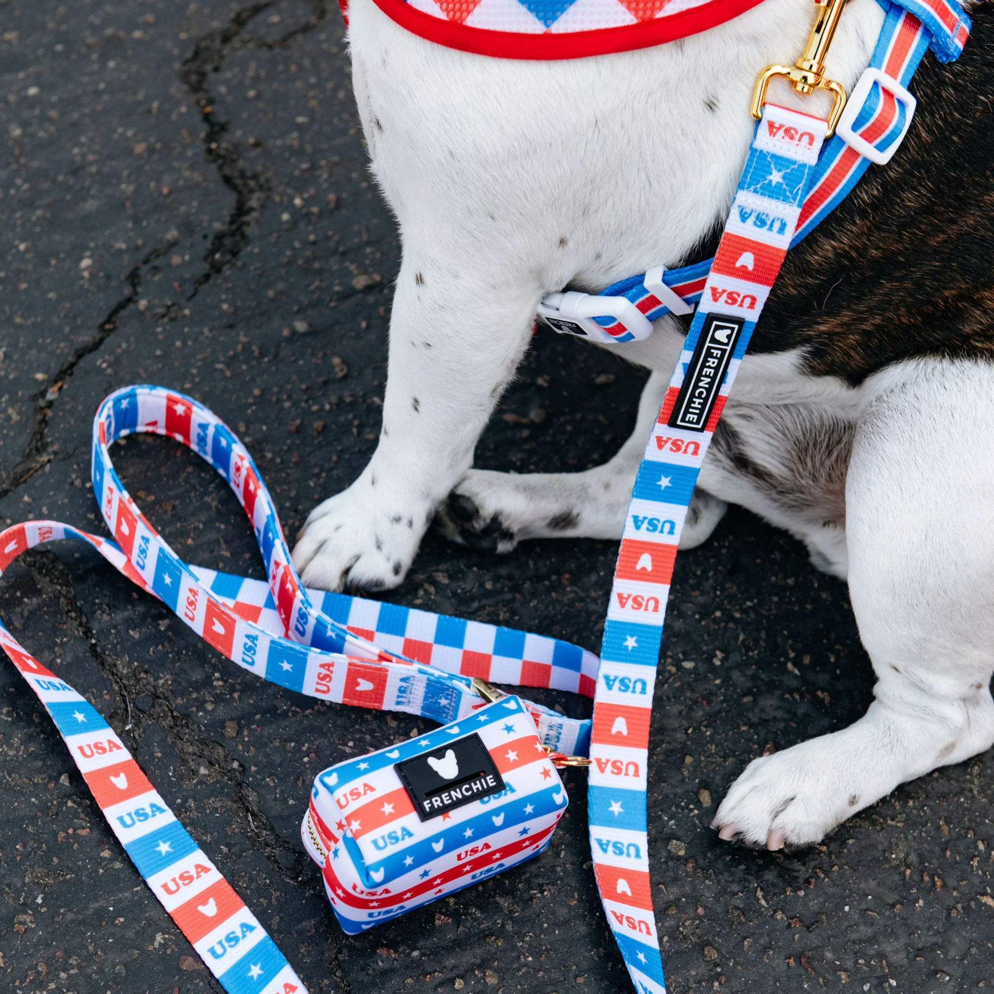 Frenchie Comfort Leash - USA - Image 3