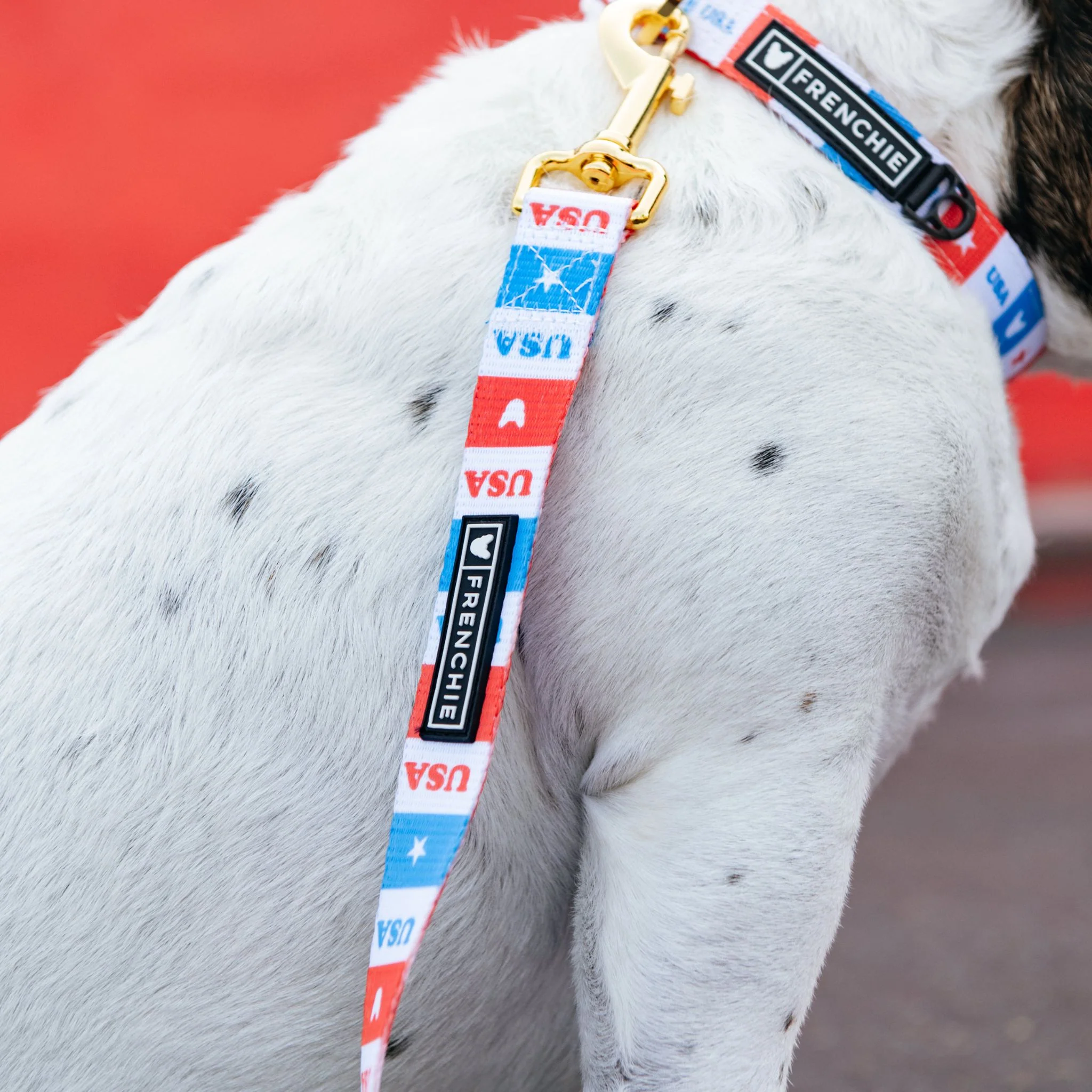 Frenchie Comfort Leash - USA - Image 4