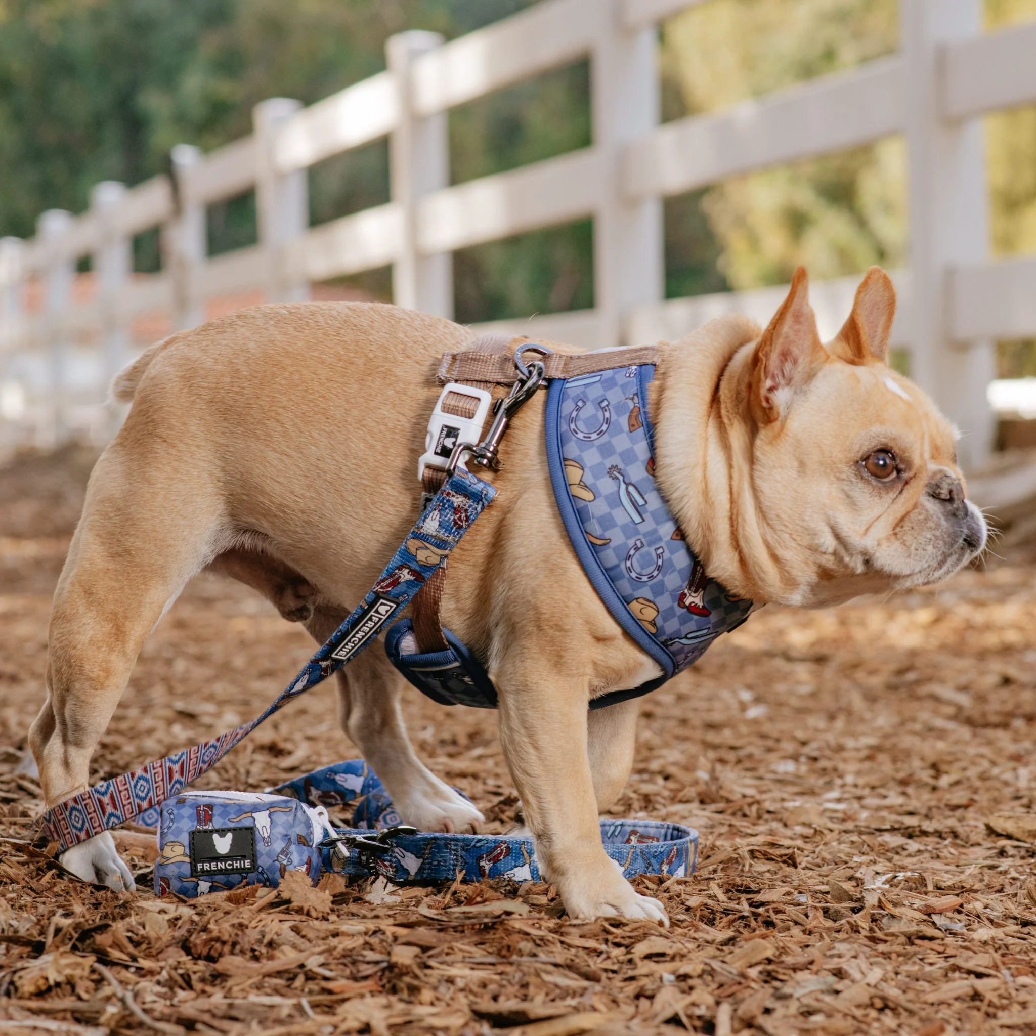 Frenchie Comfort Leash - Wild West (Blue) - Image 3