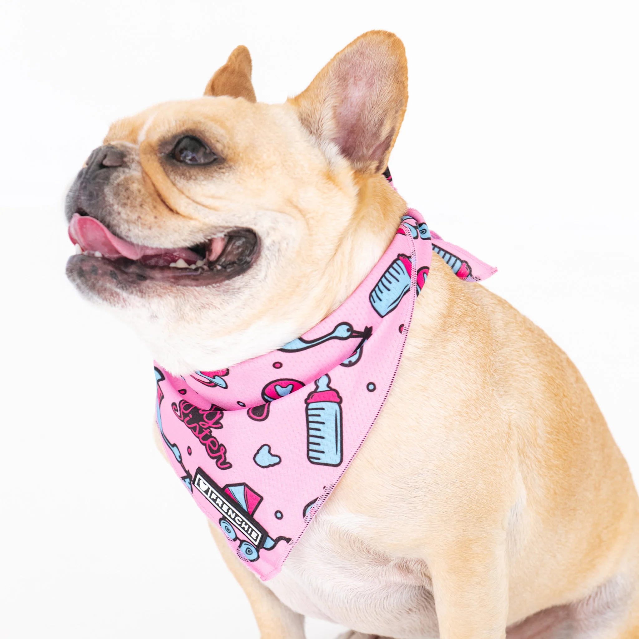 Frenchie Cooling Bandana - Big Sister - Image 3