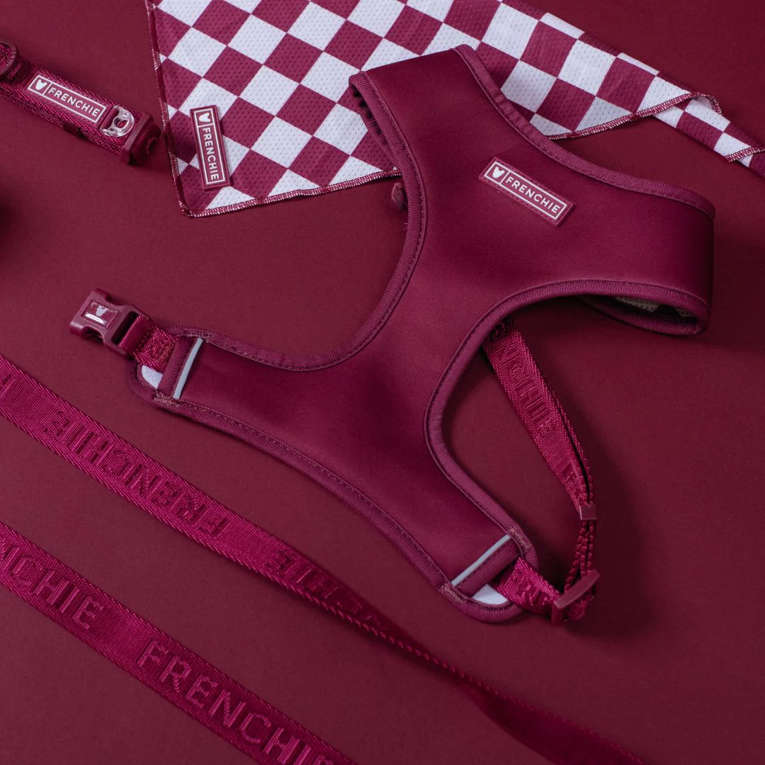 Frenchie Cooling Bandana - Solid Ruby - Image 3