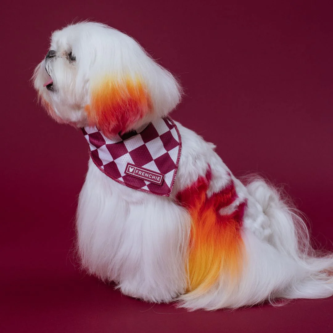 Frenchie Cooling Bandana - Solid Ruby - Image 4