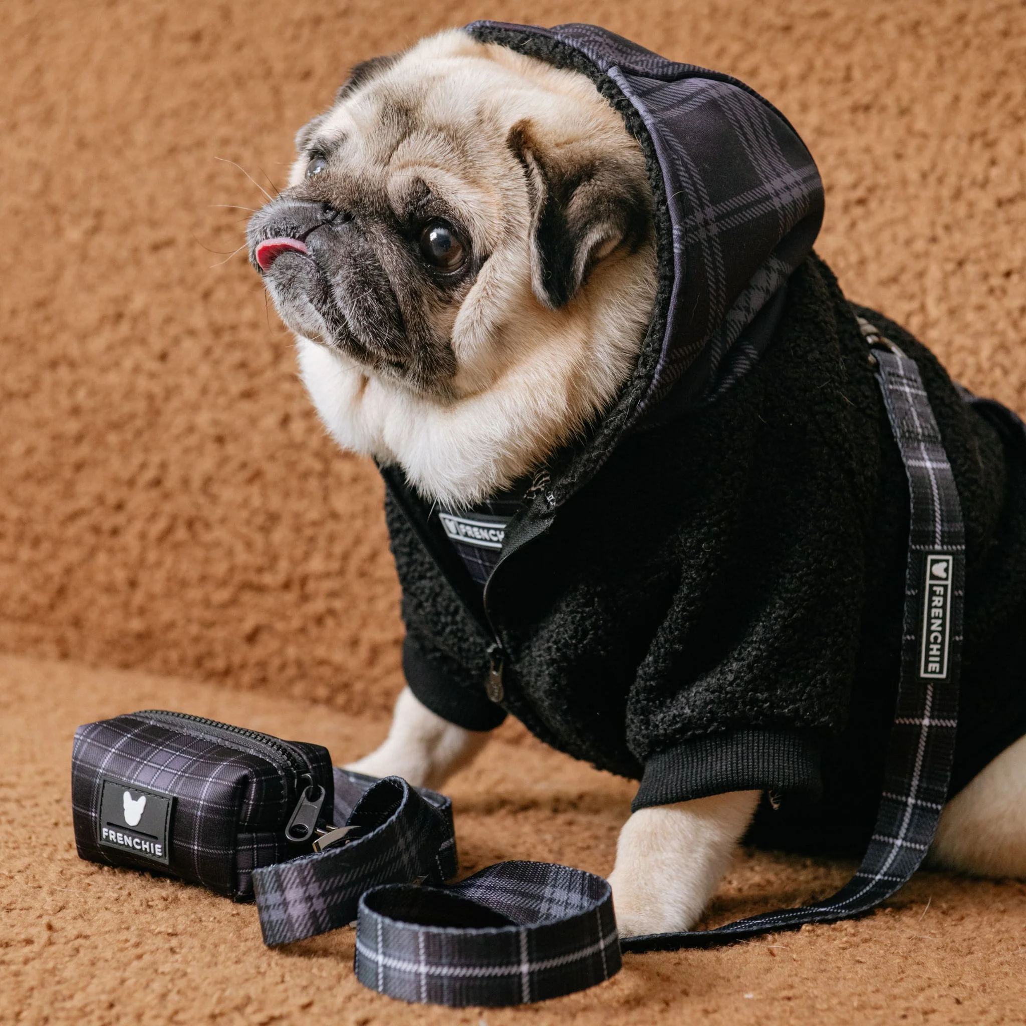 Frenchie Dog Hoodie - Black Plaid - Image 11