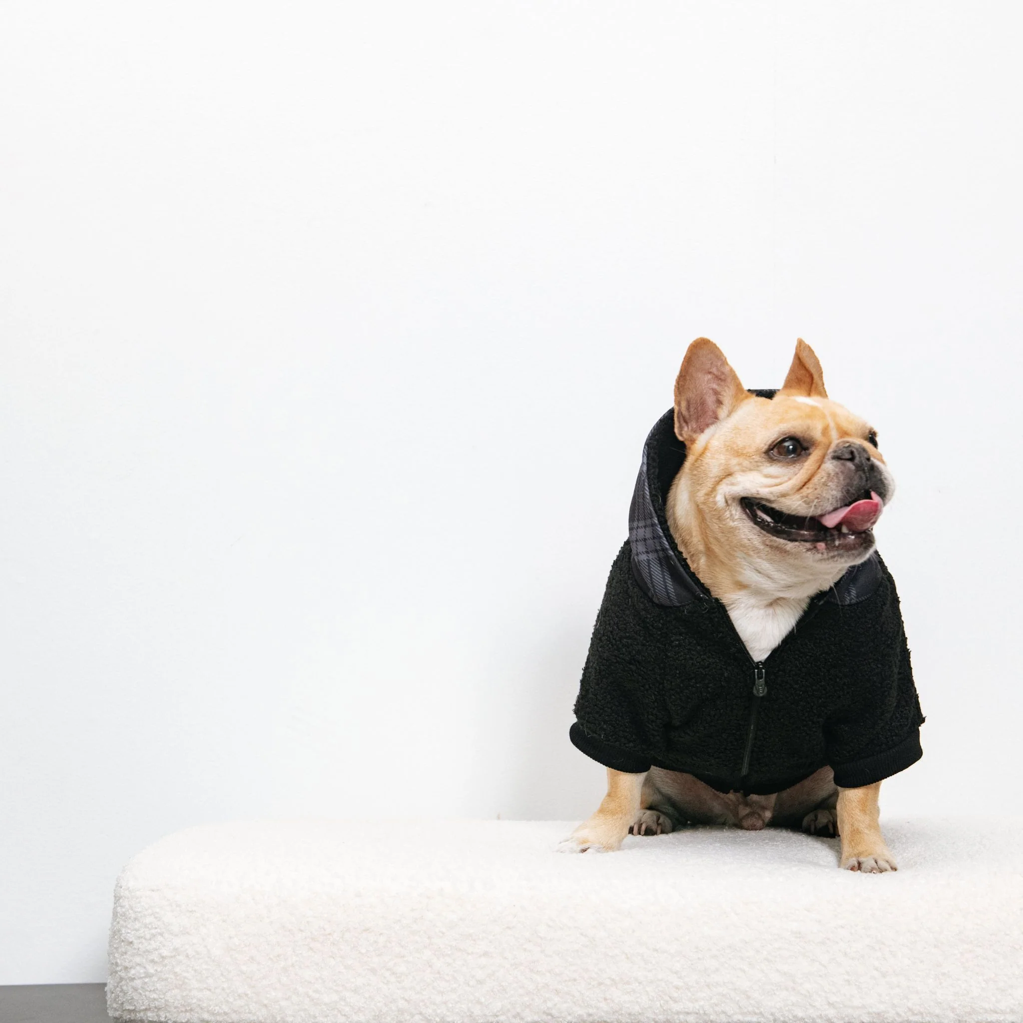 Frenchie Dog Hoodie - Black Plaid - Image 4