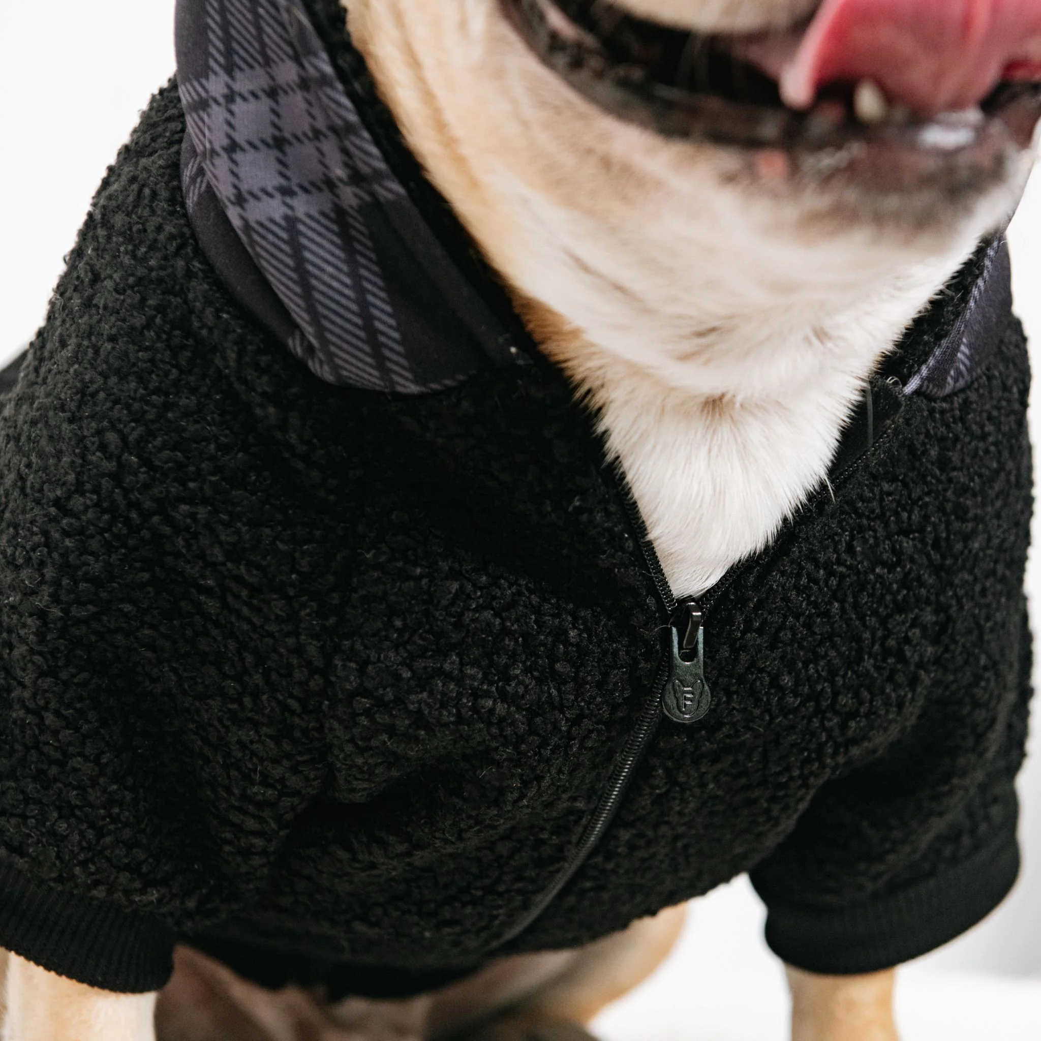 Frenchie Dog Hoodie - Black Plaid - Image 5