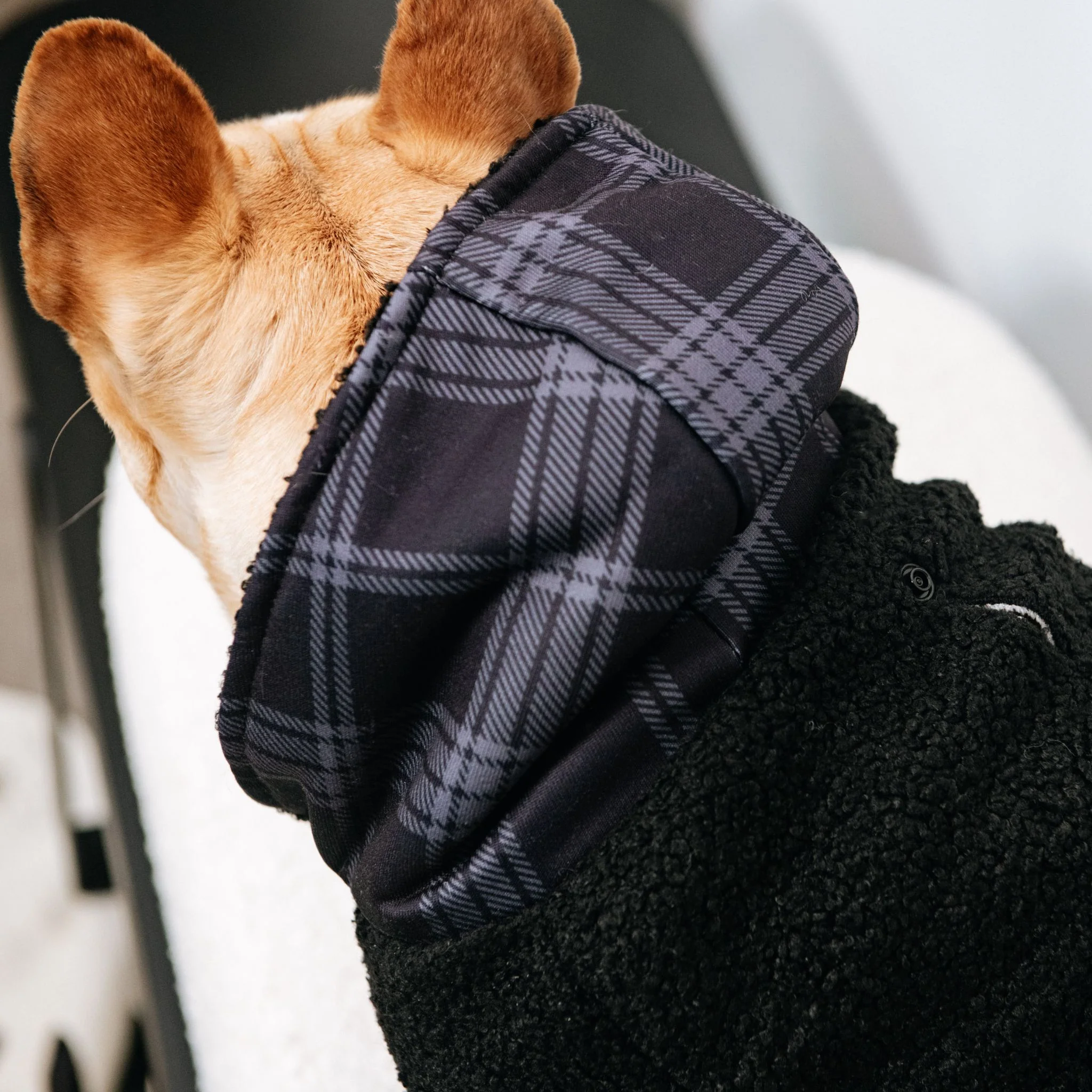 Frenchie Dog Hoodie - Black Plaid - Image 7