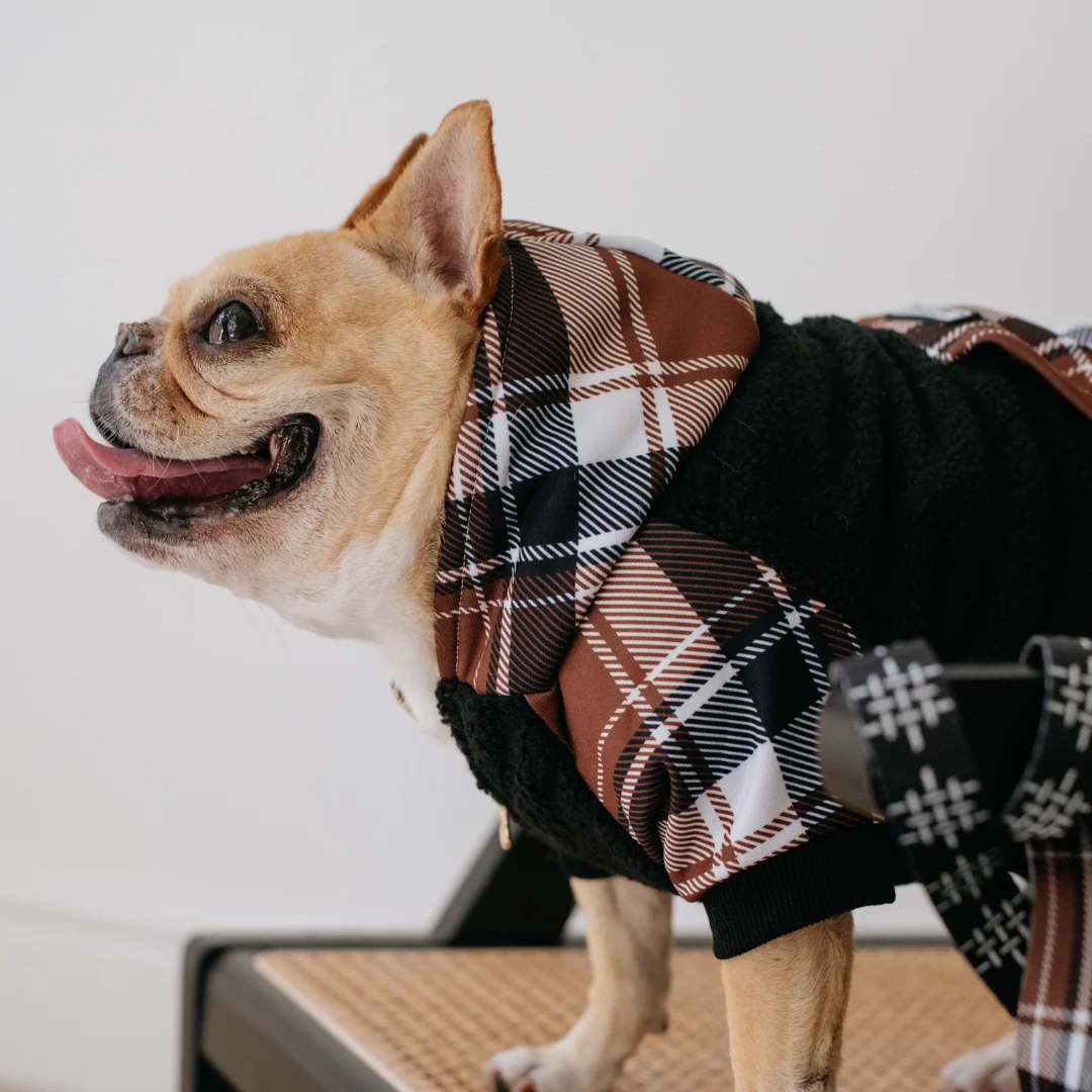 Frenchie Dog Hoodie - Cocoa Plaid - Image 12