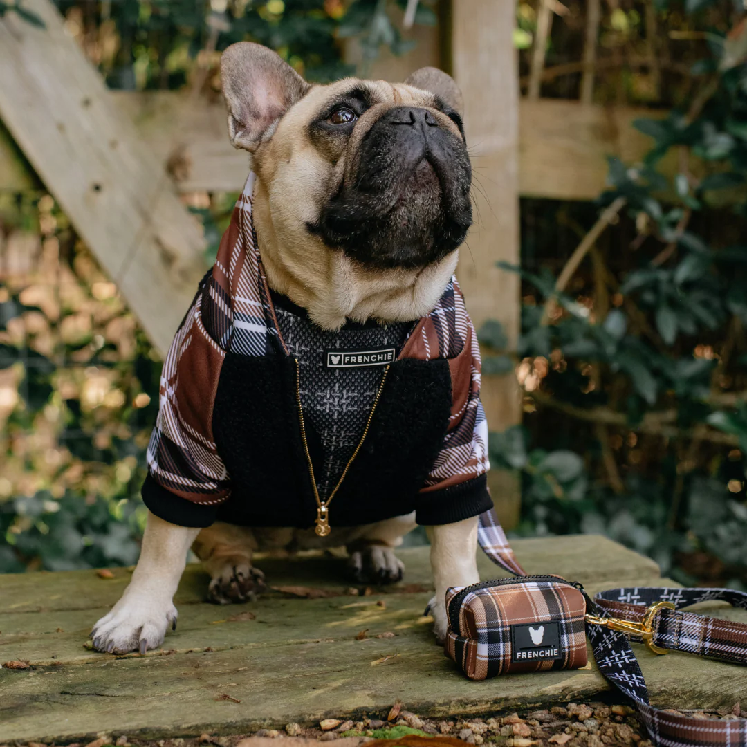 Frenchie Dog Hoodie - Cocoa Plaid - Image 14