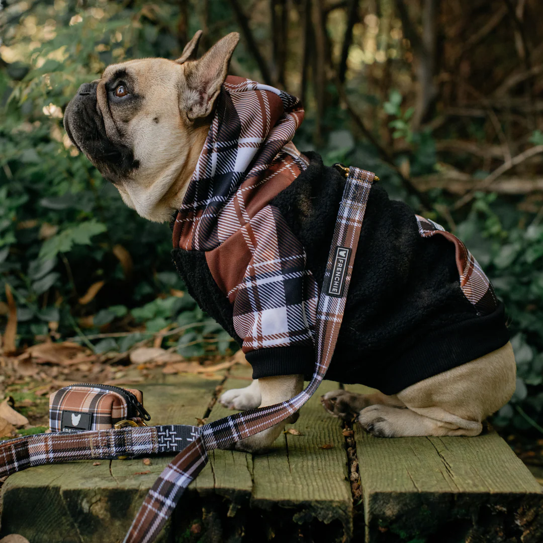 Frenchie Dog Hoodie - Cocoa Plaid - Image 16