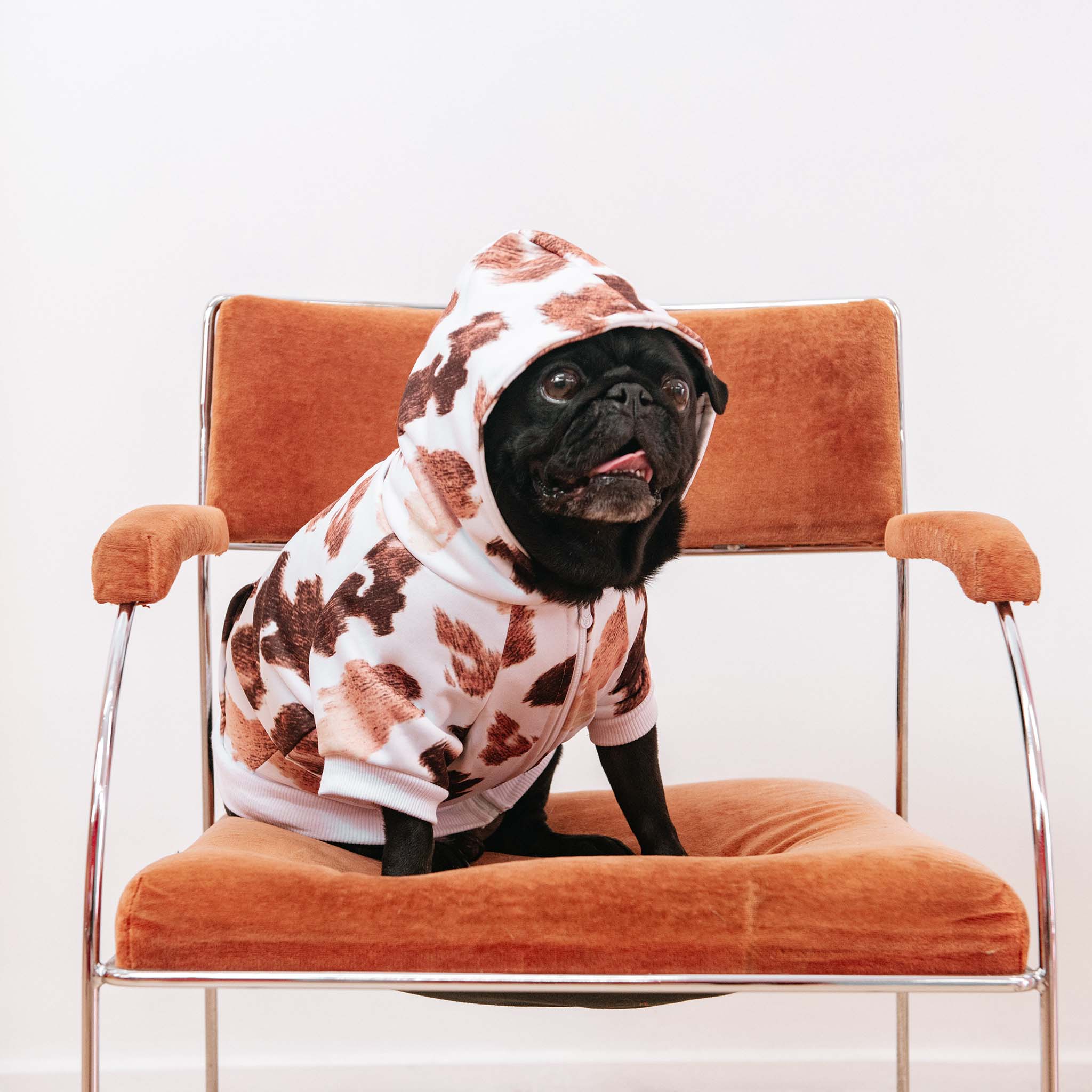 Frenchie Dog Hoodie - Moo - Image 5