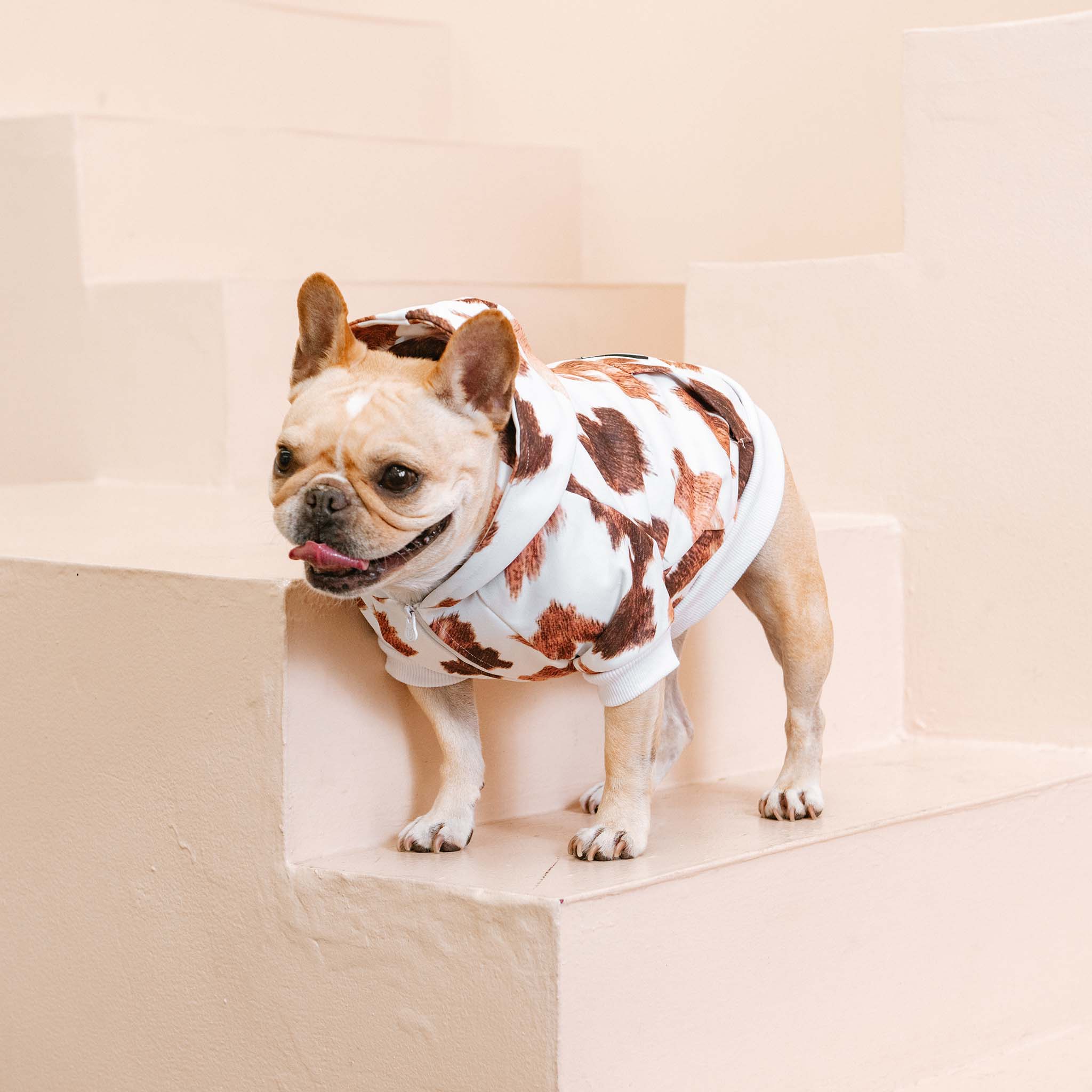 Frenchie Dog Hoodie - Moo - Image 6