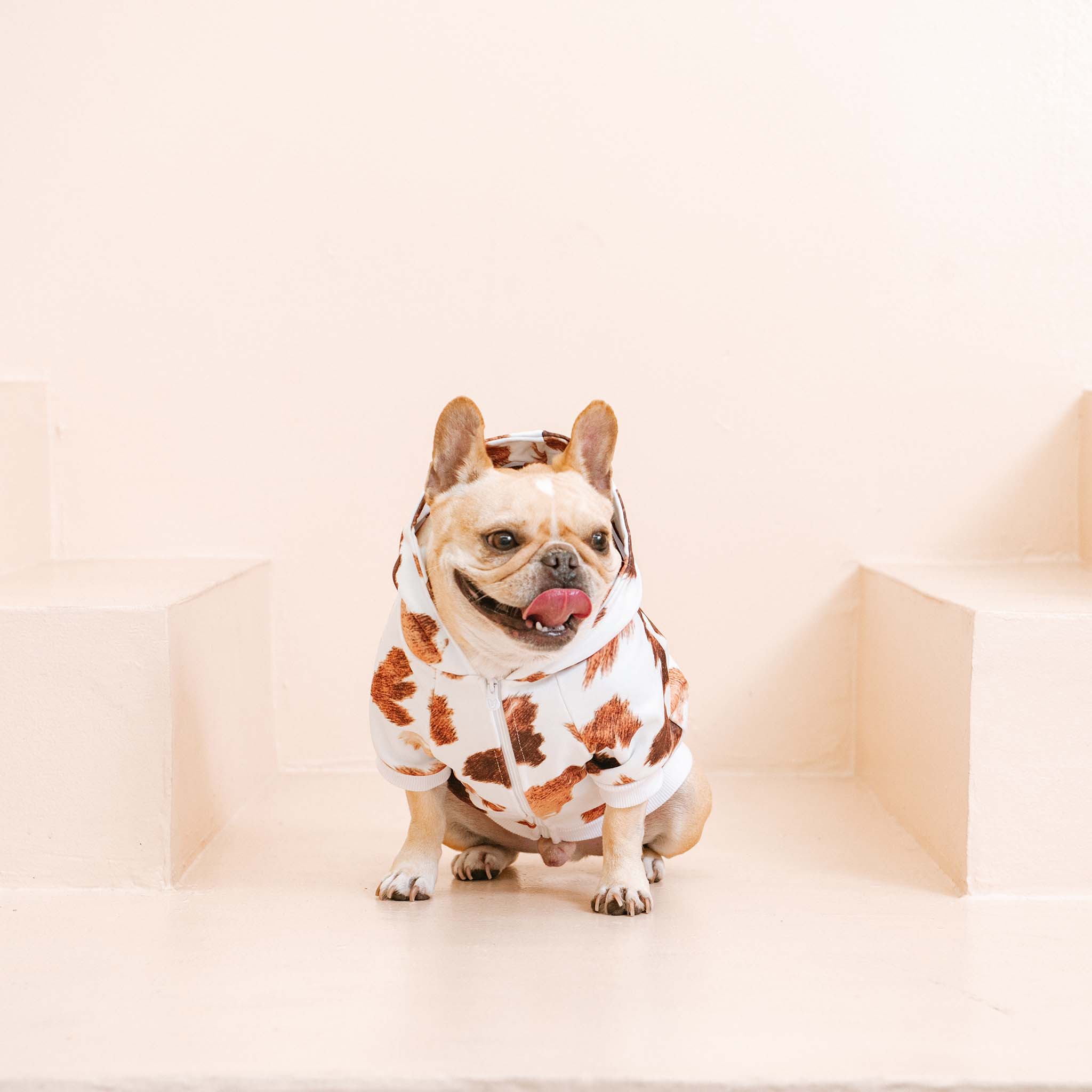 Frenchie Dog Hoodie - Moo - Image 7
