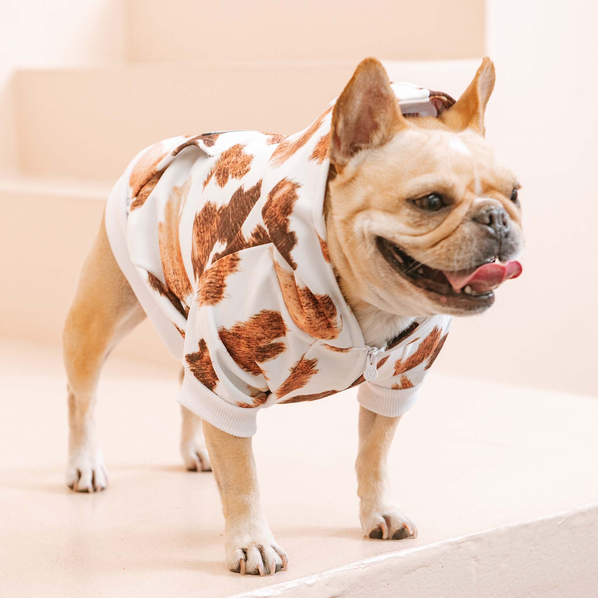 Frenchie Dog Hoodie - Moo - Image 8