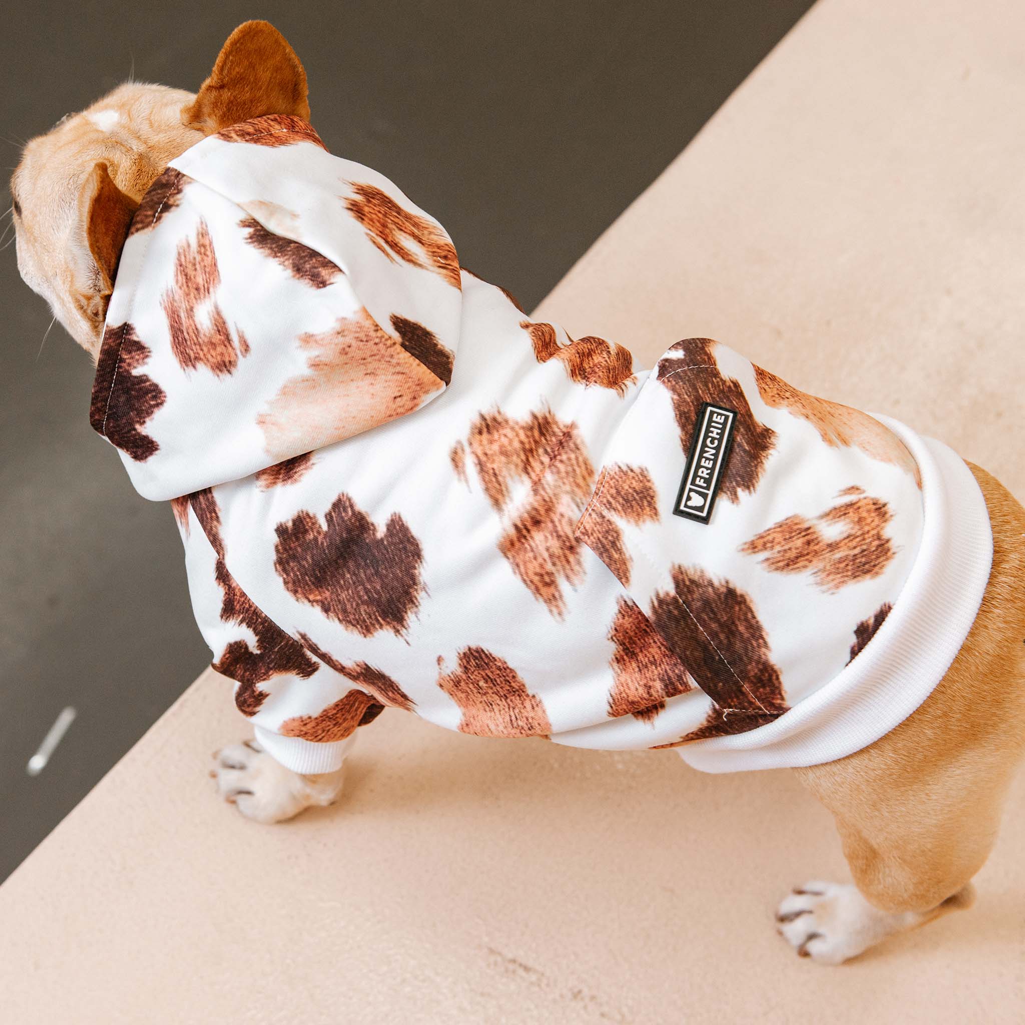 Frenchie Dog Hoodie - Moo - Image 9