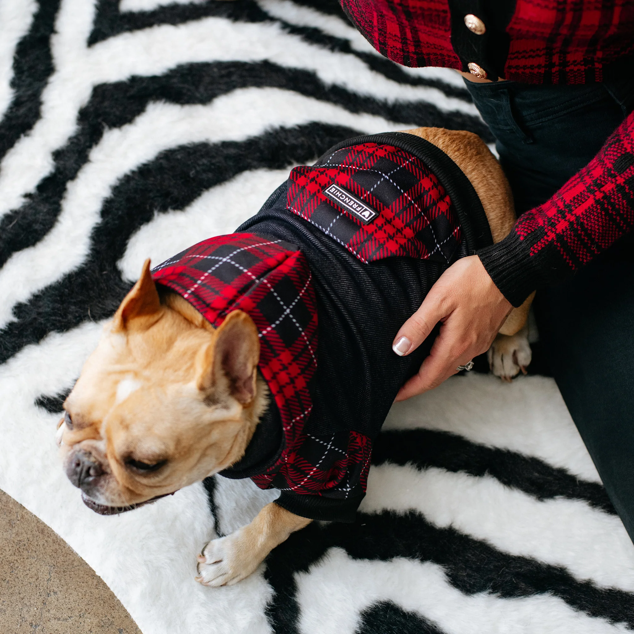 Frenchie Dog Hoodie - Red Tartan - Image 3