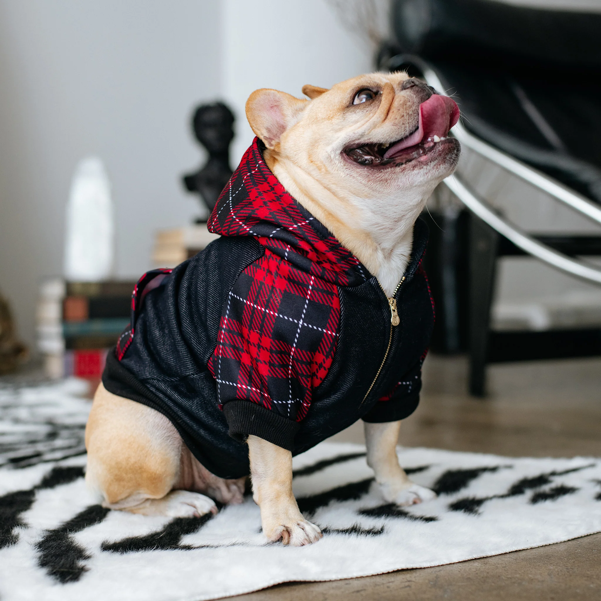 Frenchie Dog Hoodie - Red Tartan - Image 5