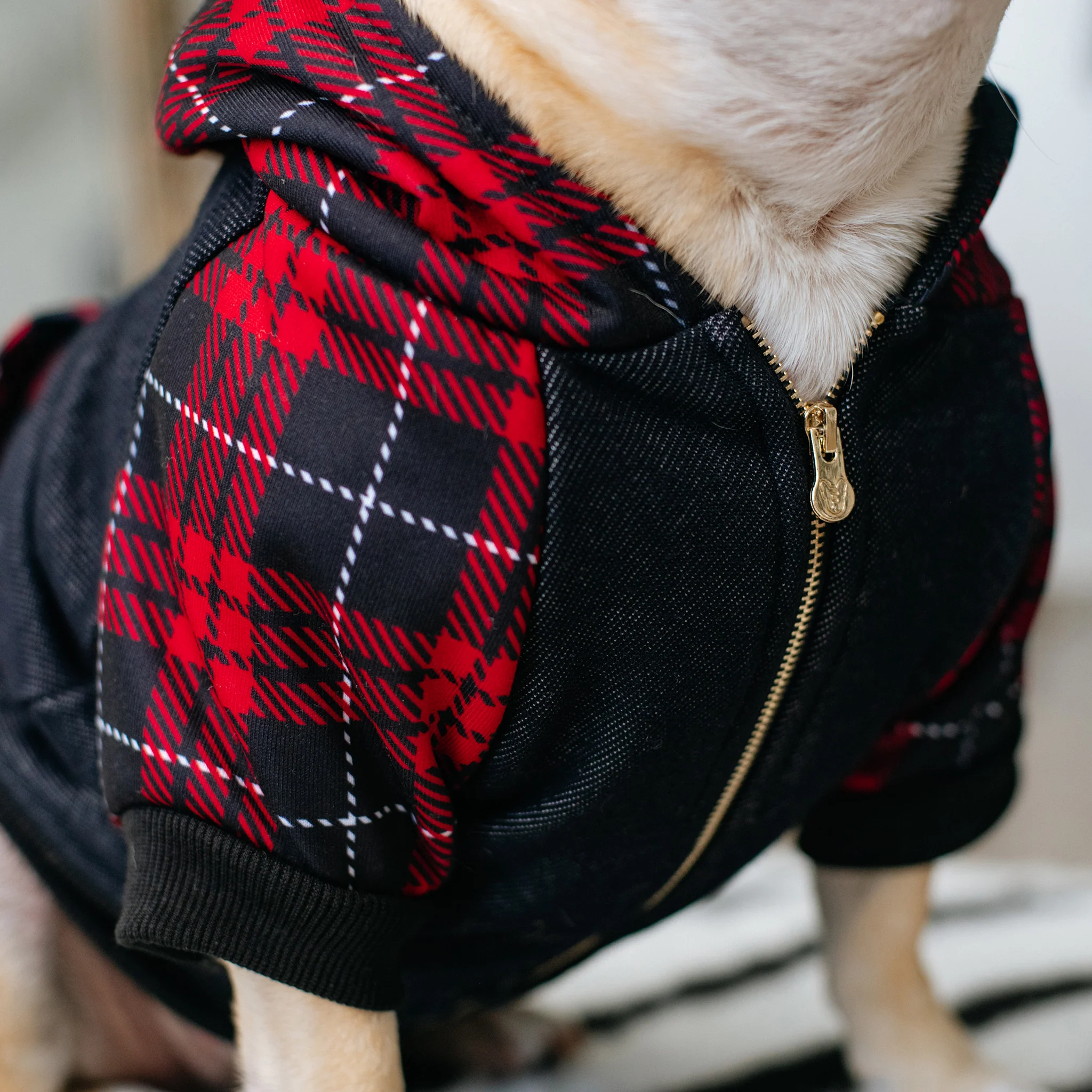Frenchie Dog Hoodie - Red Tartan - Image 6