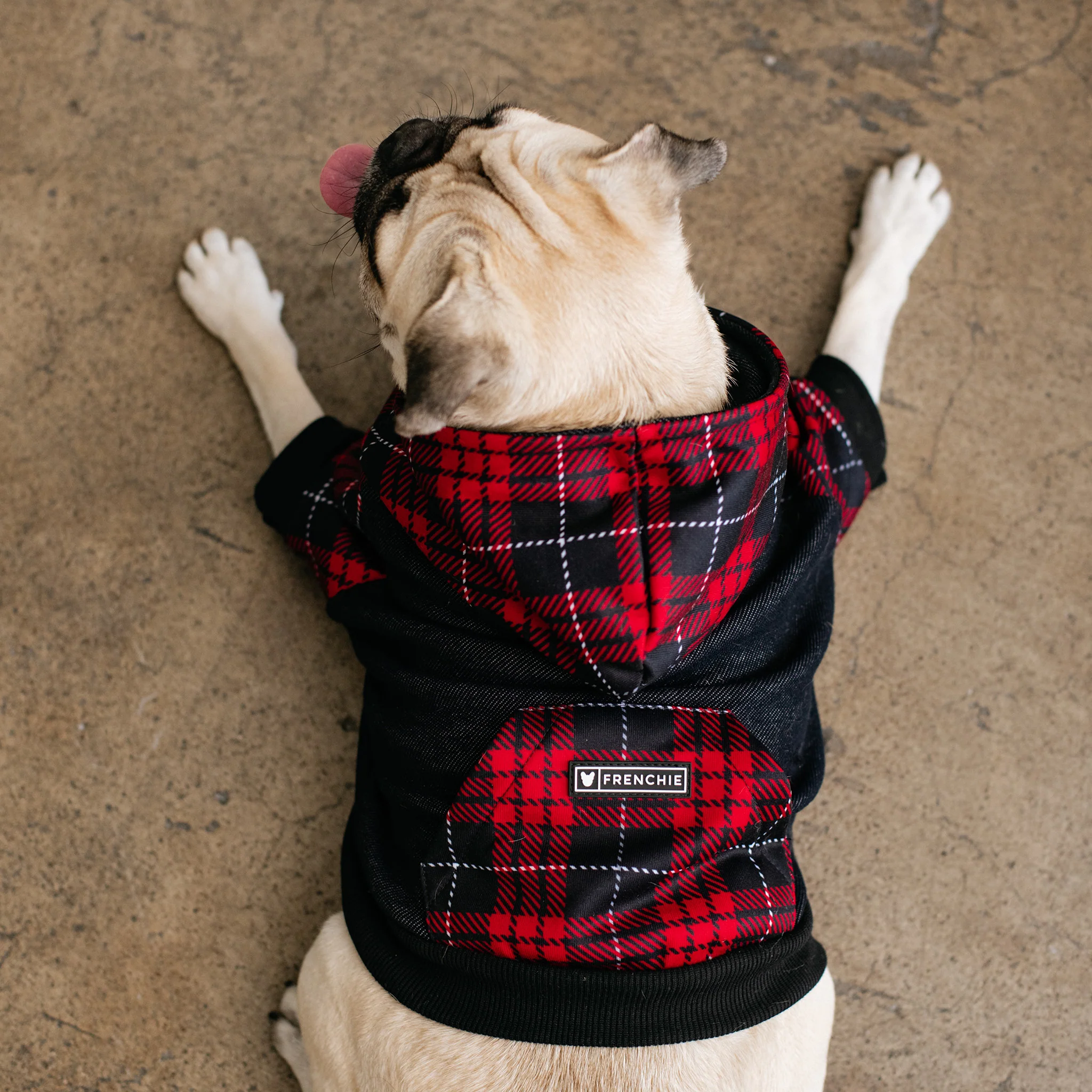 Frenchie Dog Hoodie - Red Tartan - Image 7