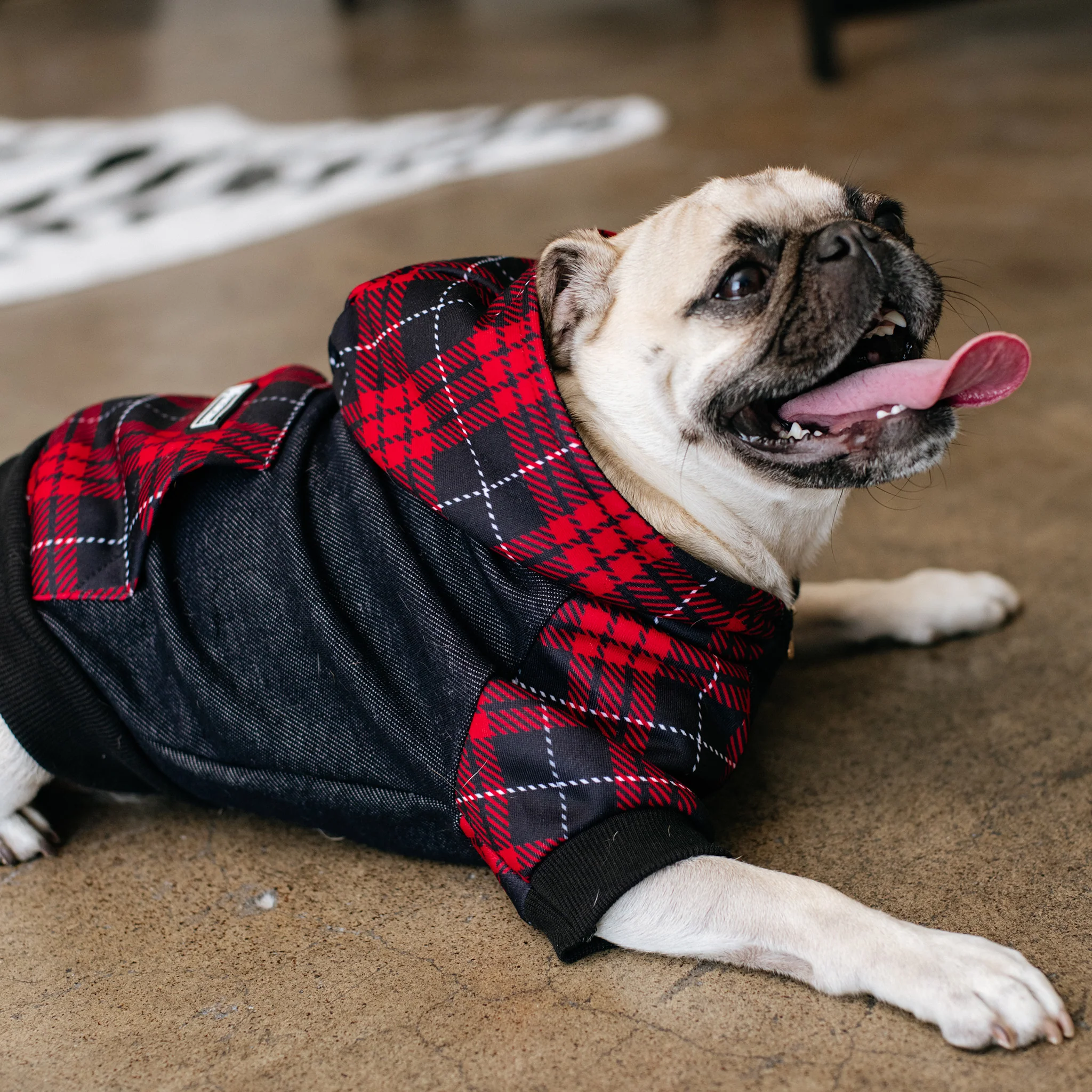 Frenchie Dog Hoodie - Red Tartan - Image 8