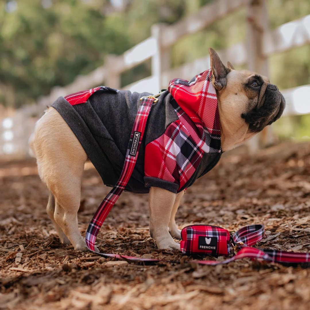 Frenchie Dog Hoodie - Scarlet Plaid - Image 10