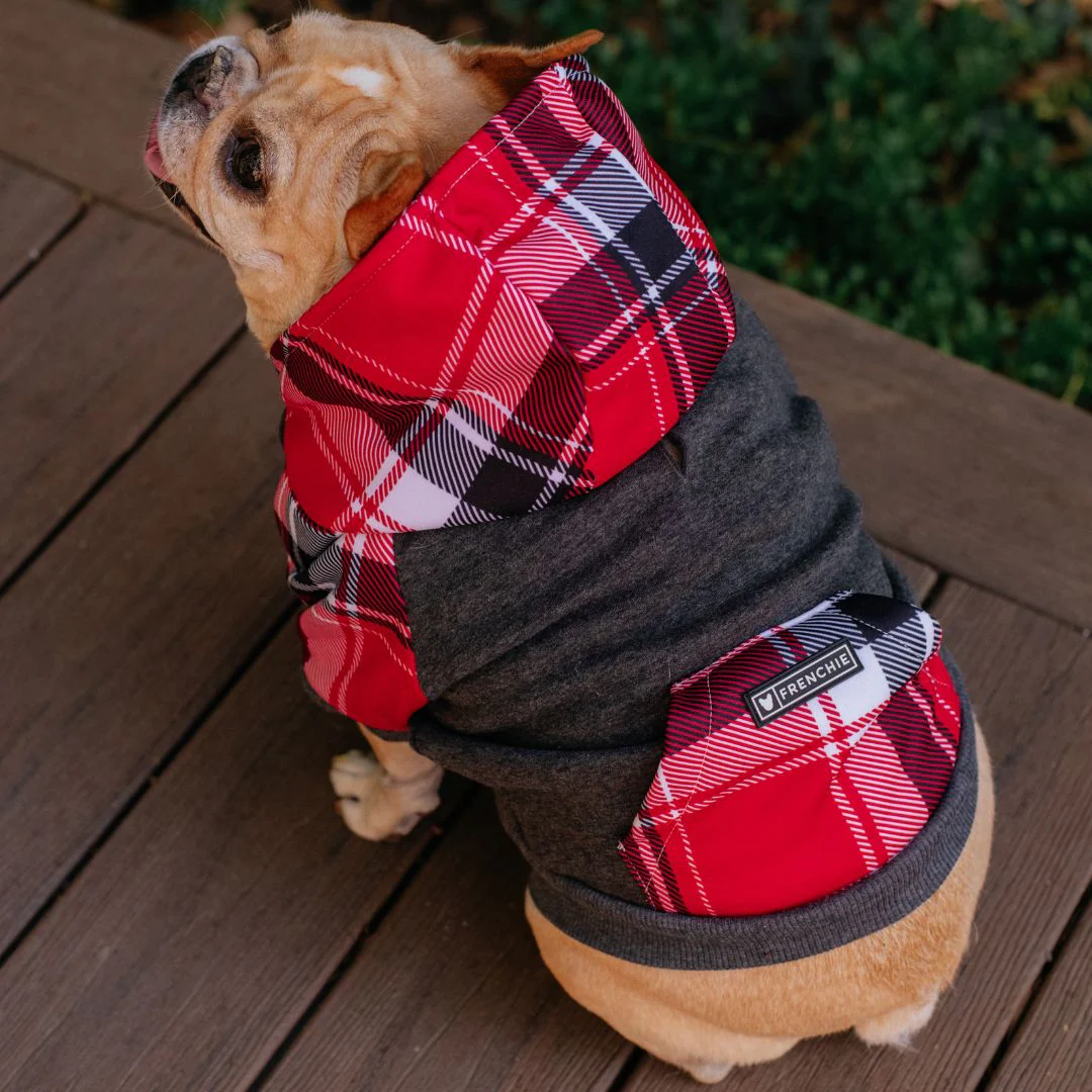 Frenchie Dog Hoodie - Scarlet Plaid - Image 12