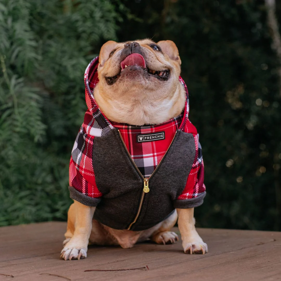 Frenchie Dog Hoodie - Scarlet Plaid - Image 14