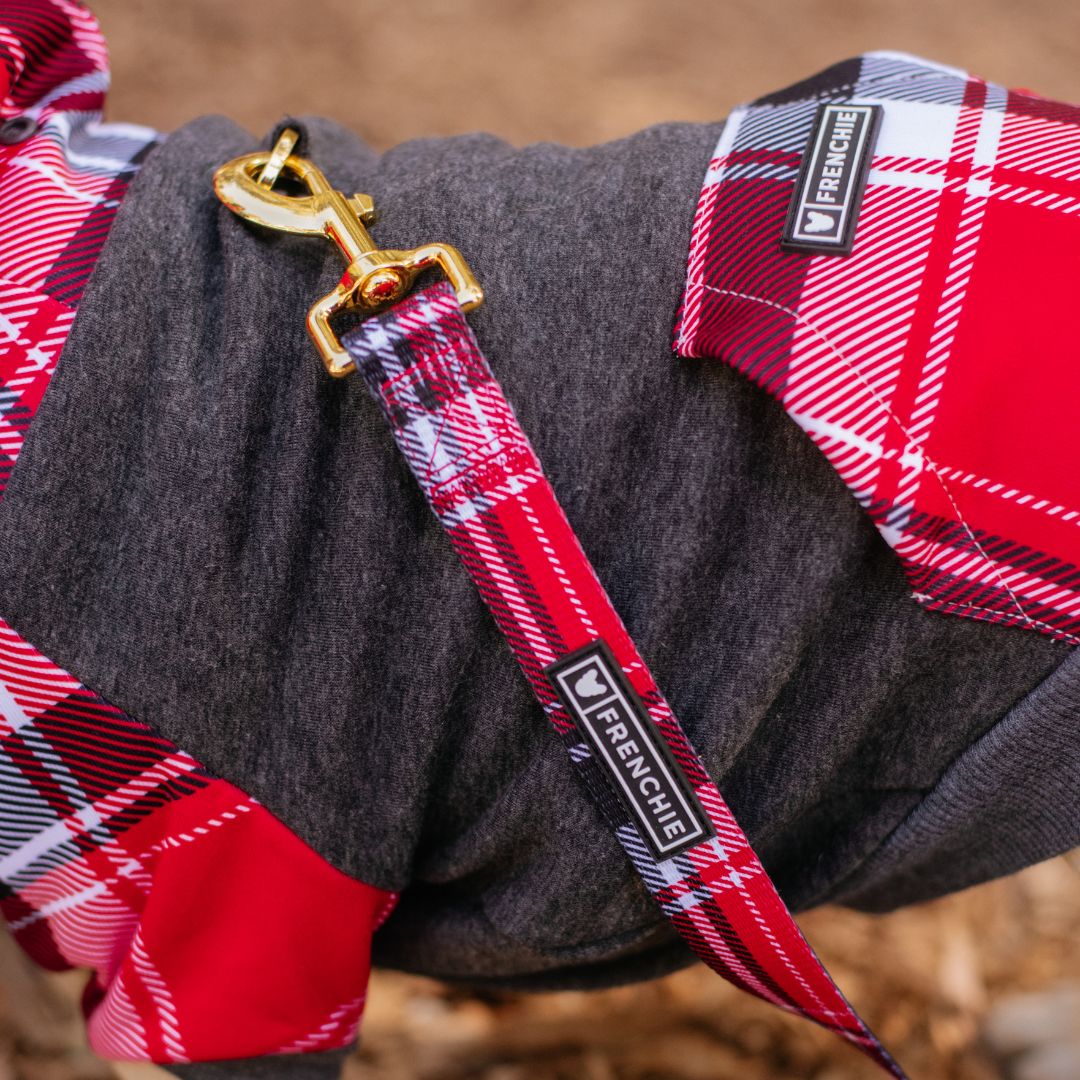 Frenchie Dog Hoodie - Scarlet Plaid - Image 16