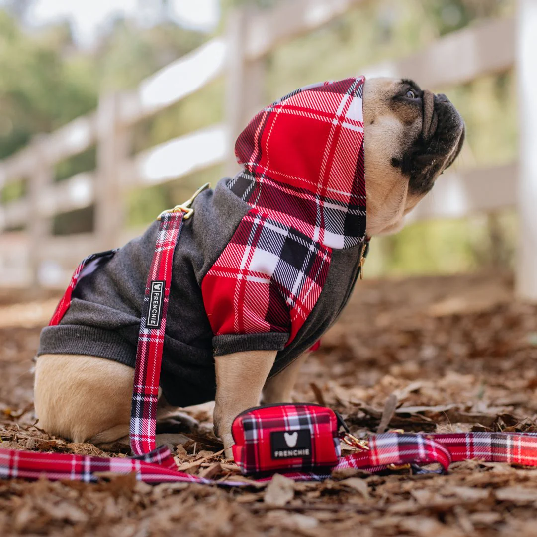 Frenchie Dog Hoodie - Scarlet Plaid - Image 19