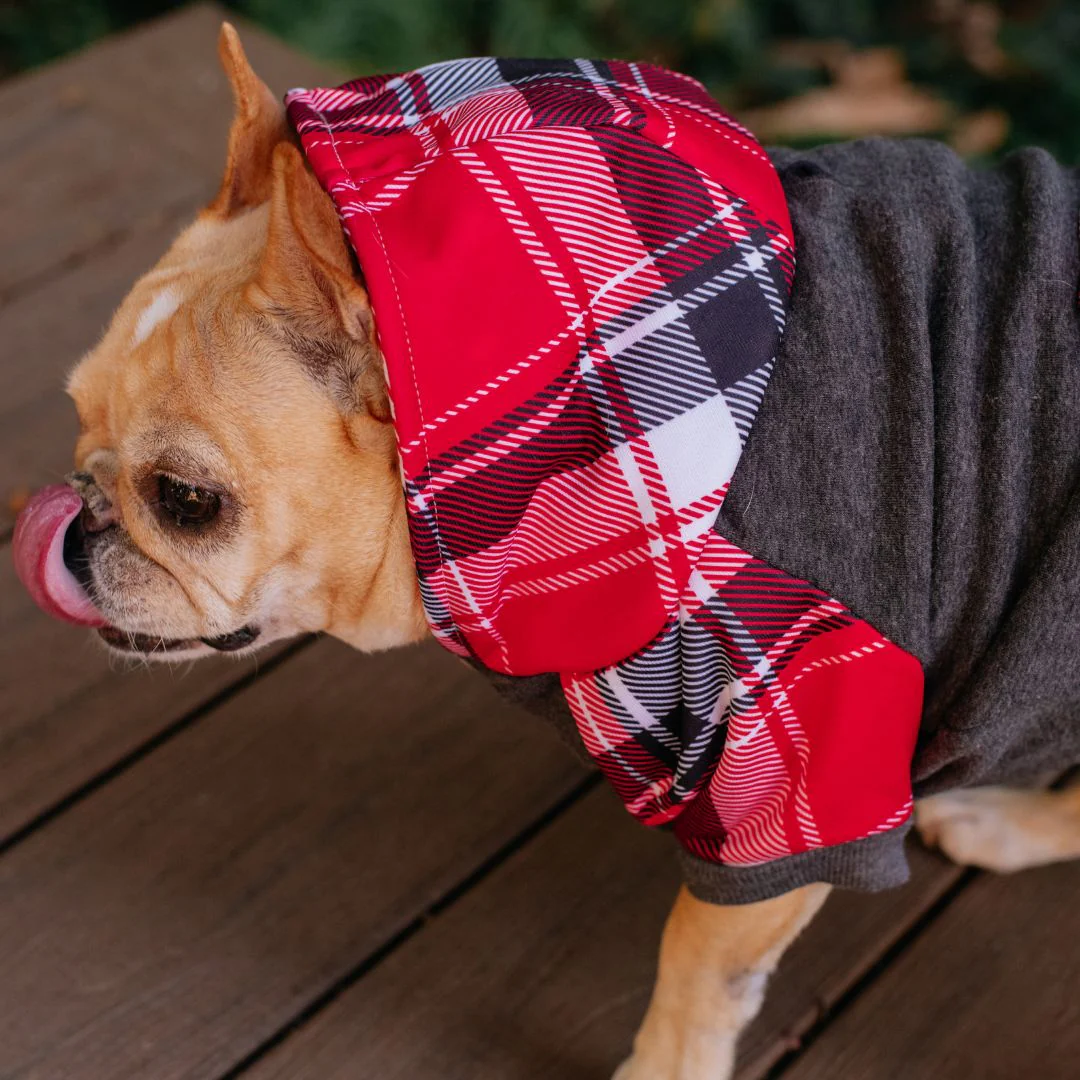 Frenchie Dog Hoodie - Scarlet Plaid - Image 4