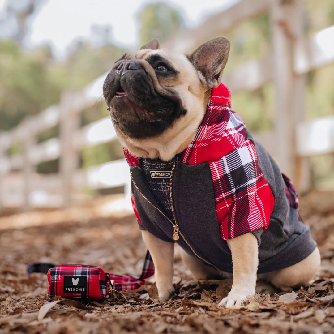 Frenchie Dog Hoodie - Scarlet Plaid - Image 6