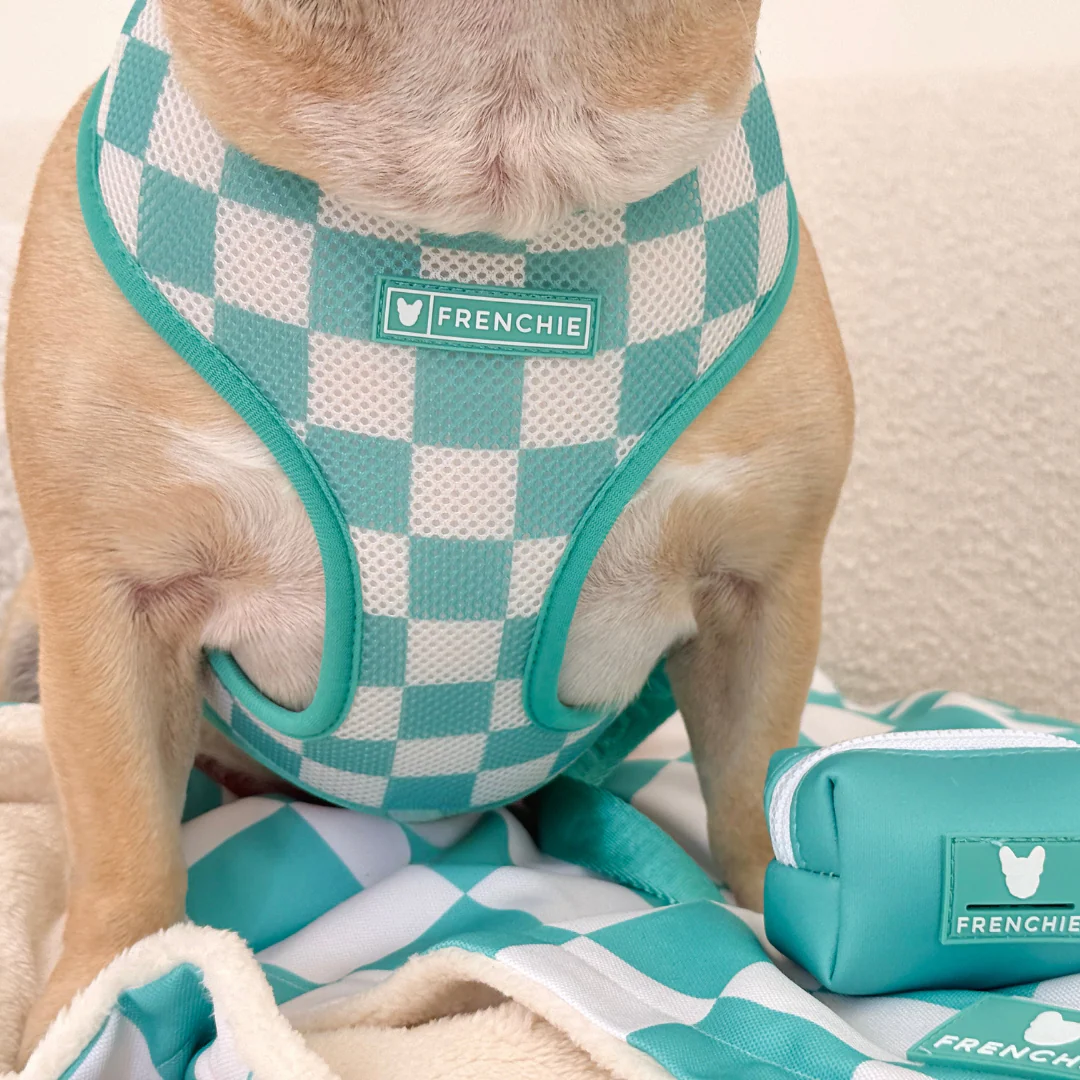 Frenchie Duo Reversible Harness - Solid Aqua - Image 12